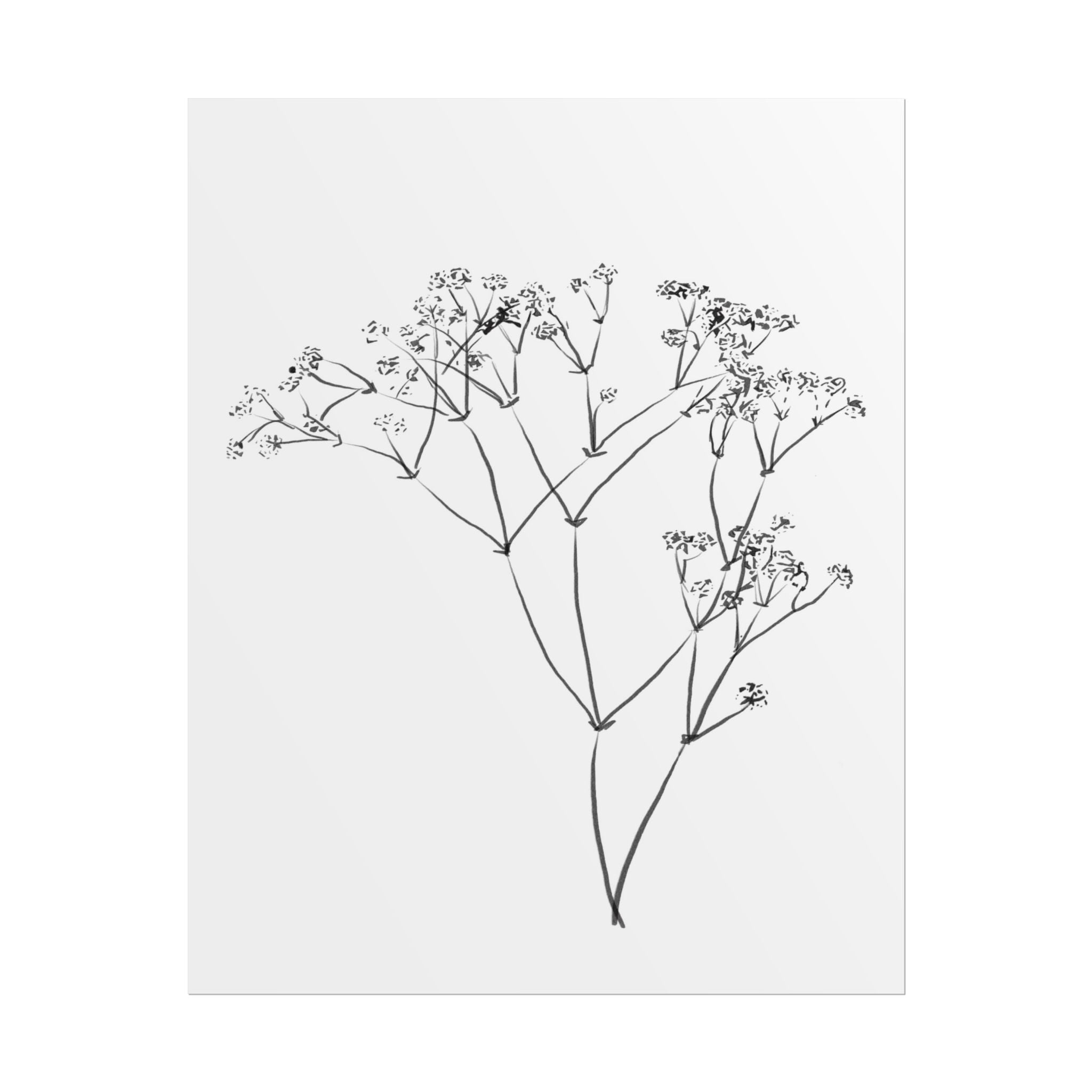 Whispering Meadow Sketch - Poster