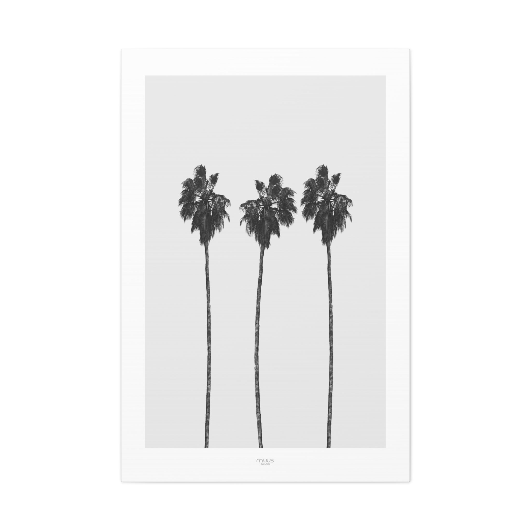 Silver Coast Palm Trio - Canvas