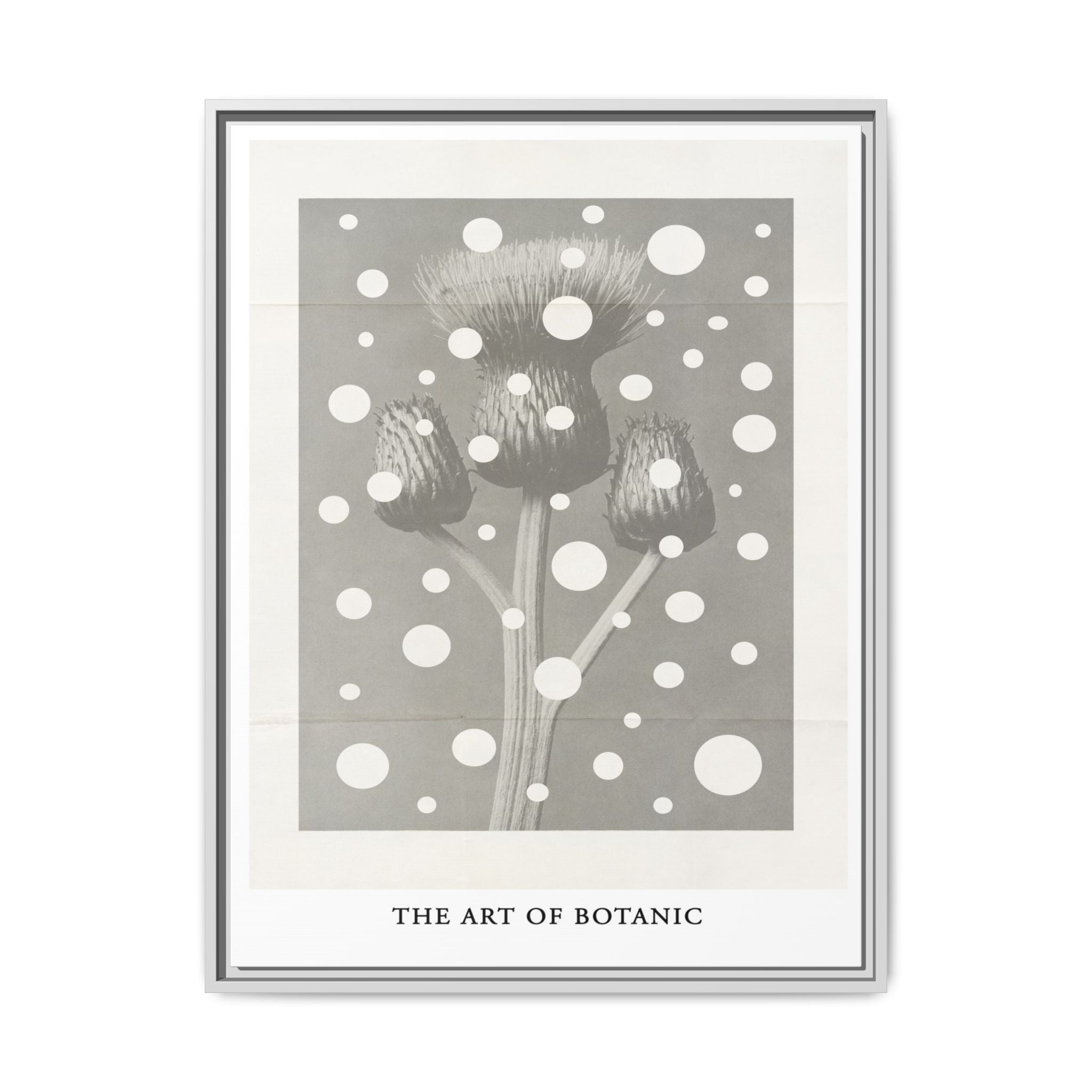 Winter Thistle Reverie - Framed