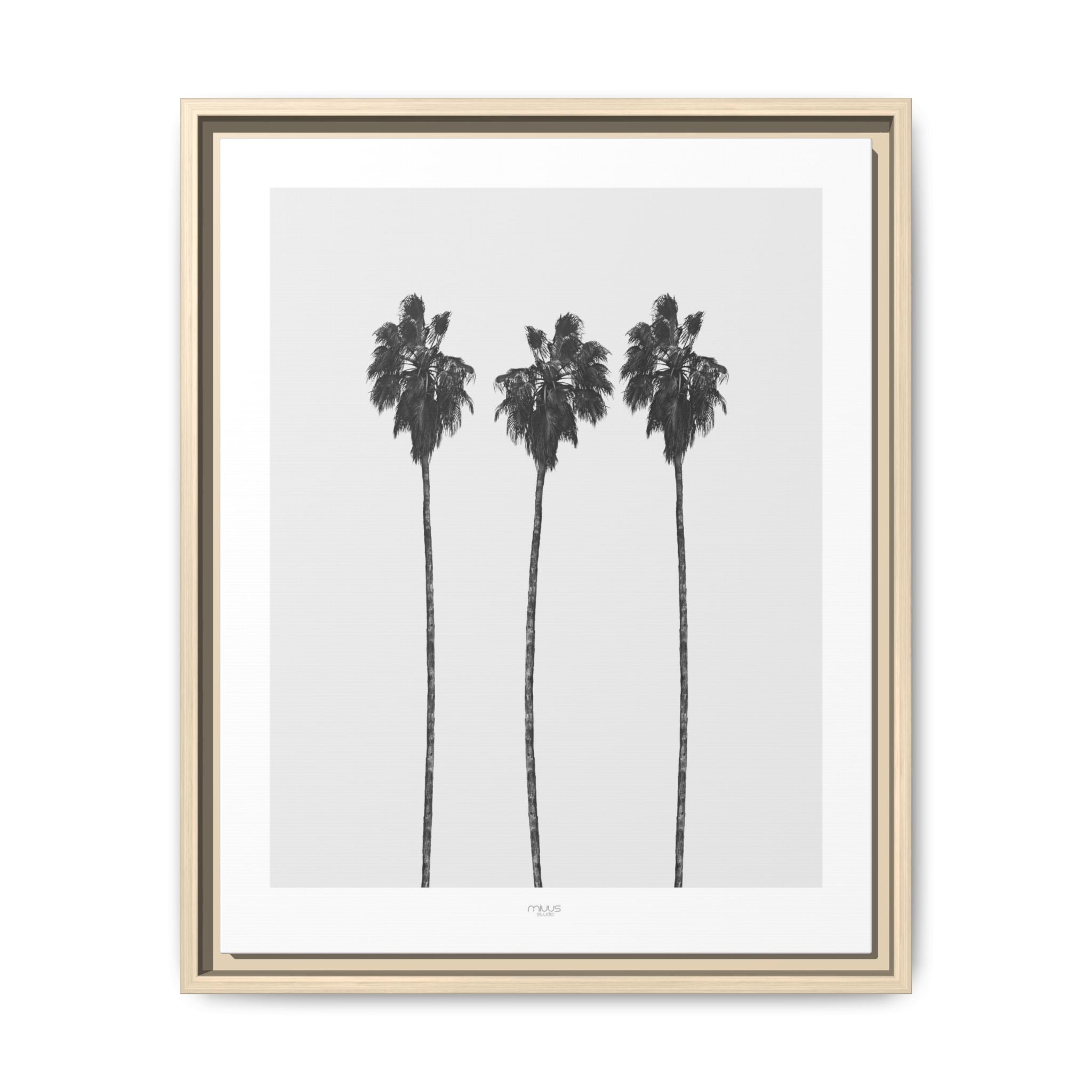Silver Coast Palm Trio - Framed