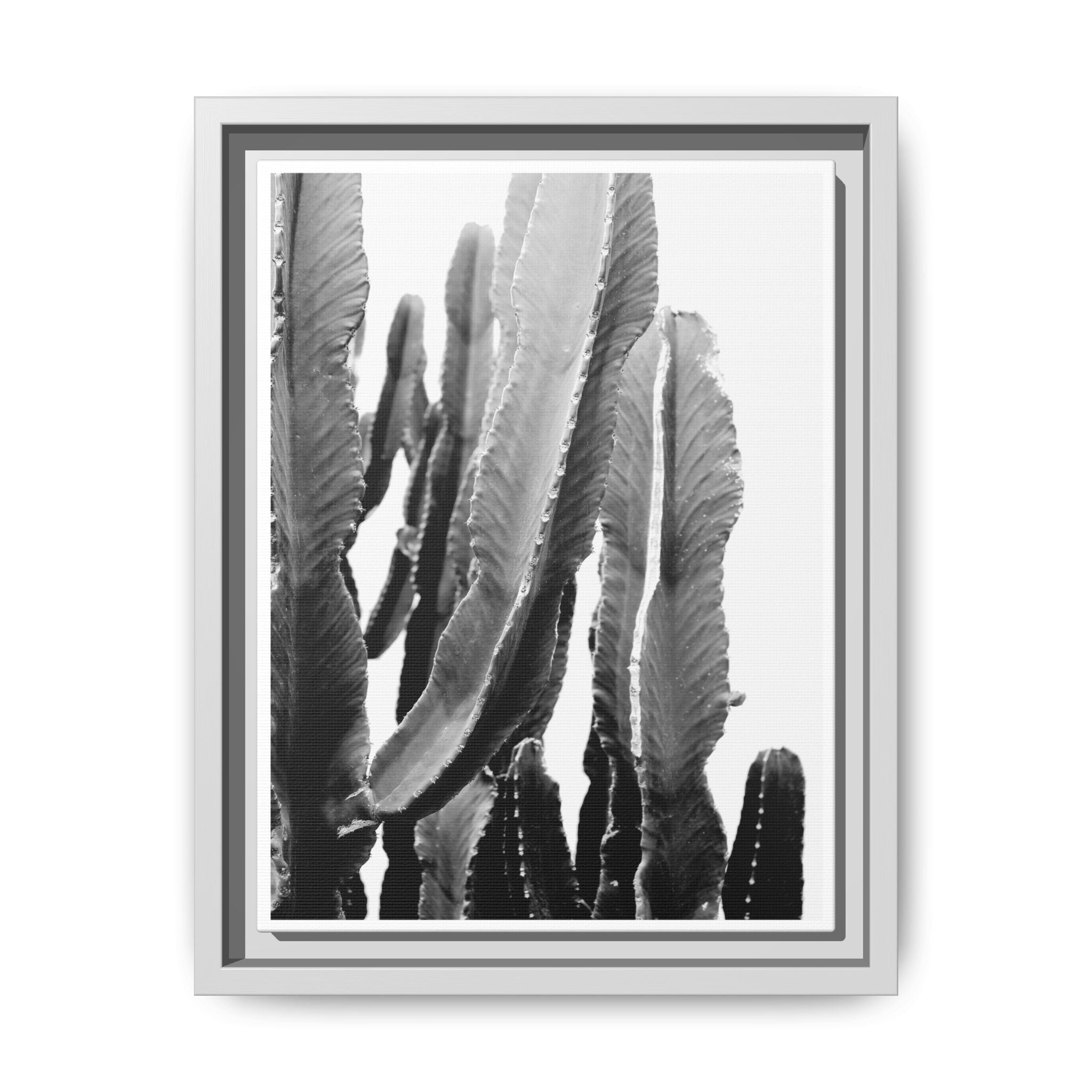 Monochrome Desert Veins - Framed