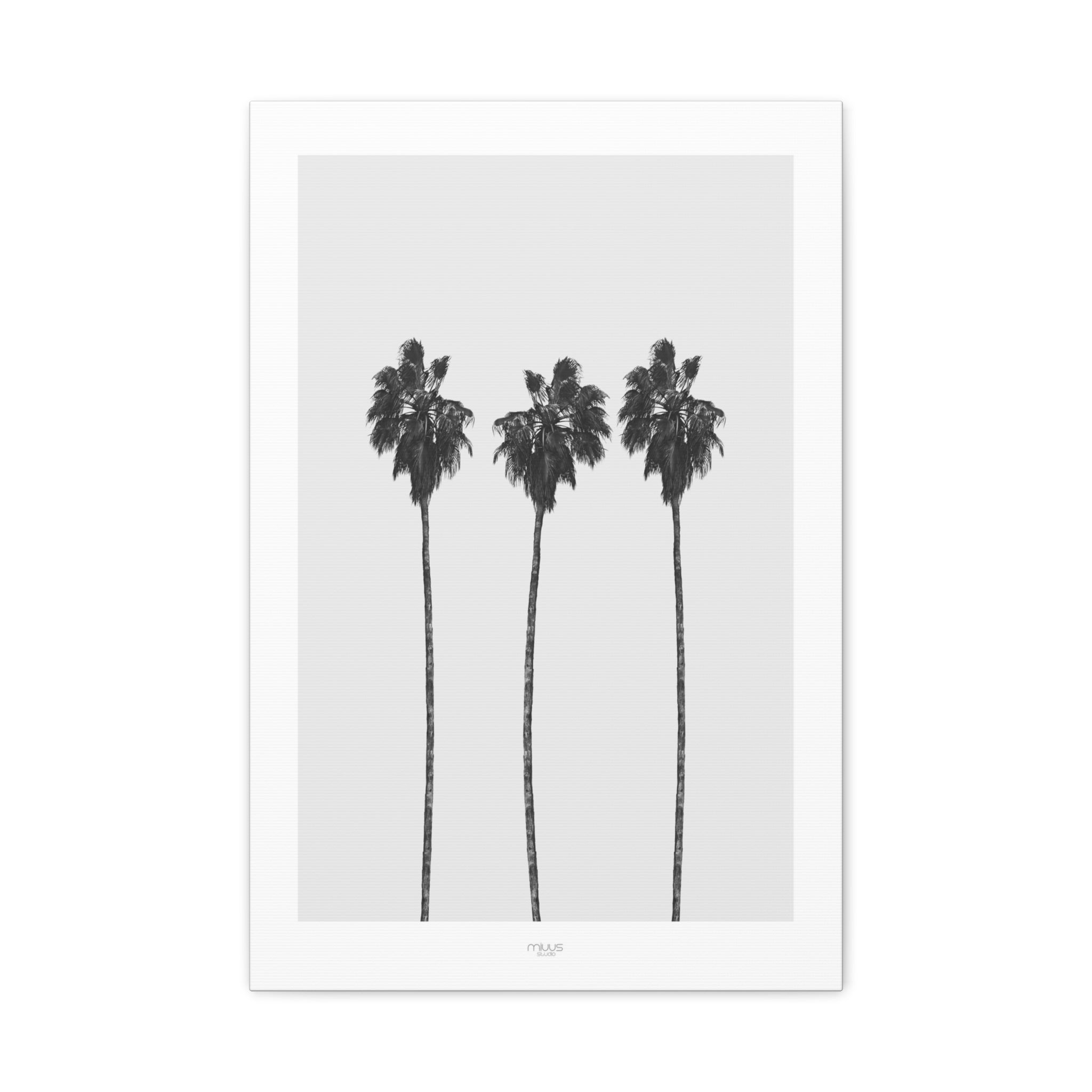 Silver Coast Palm Trio - Canvas