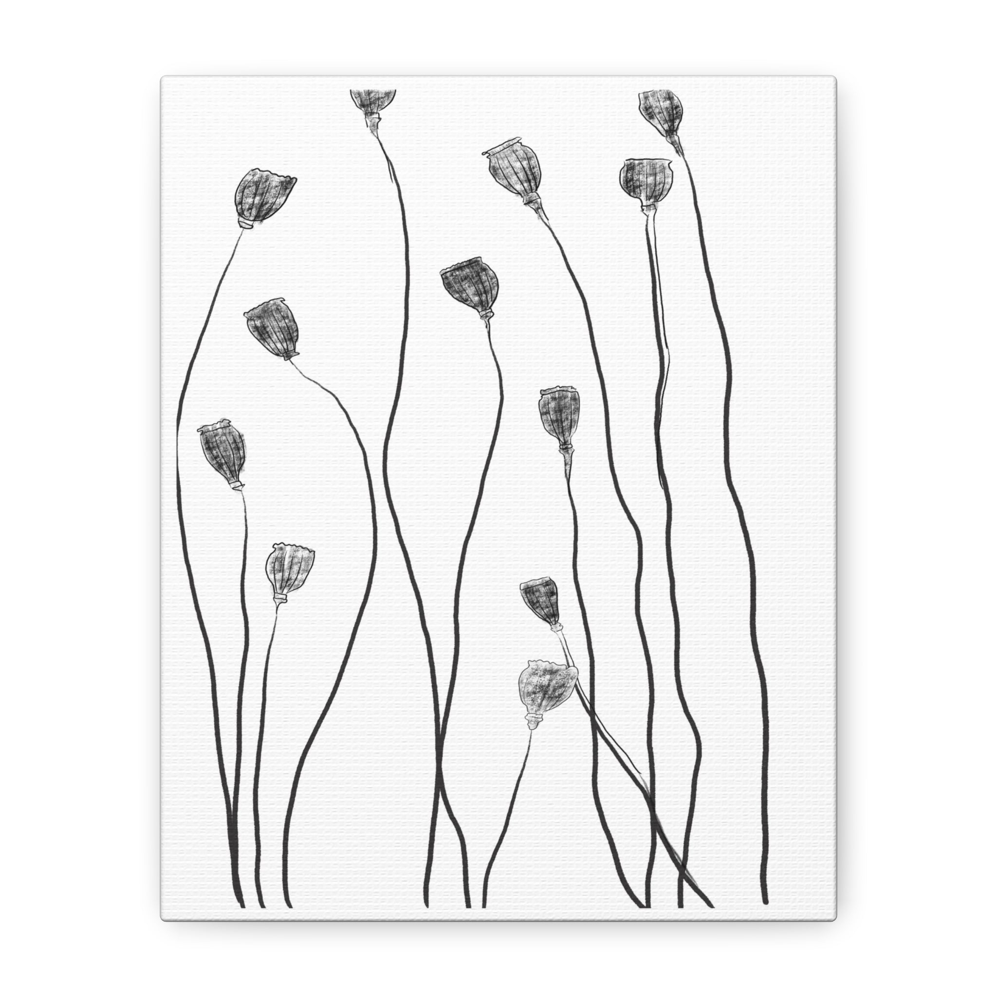 Midnight Seed Reverie - Canvas