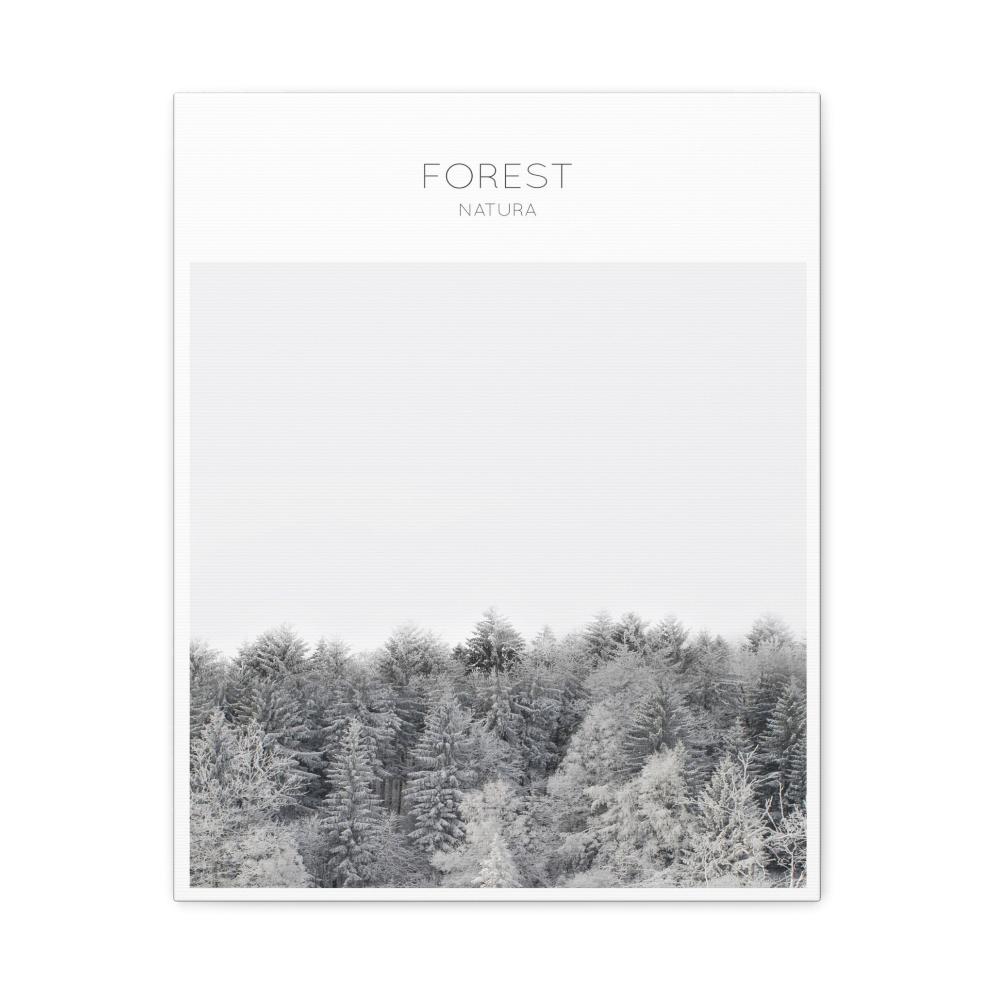 Silent Frost Canopy - Canvas