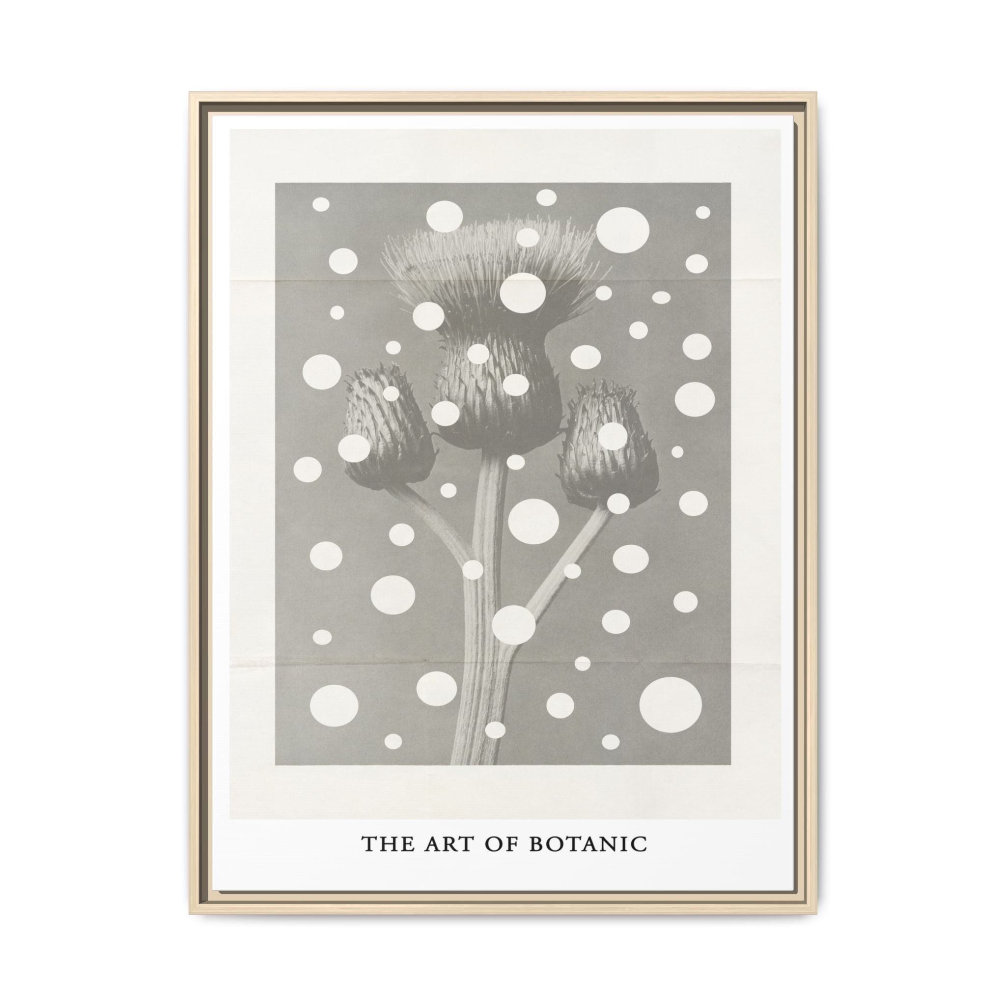 Winter Thistle Reverie - Framed