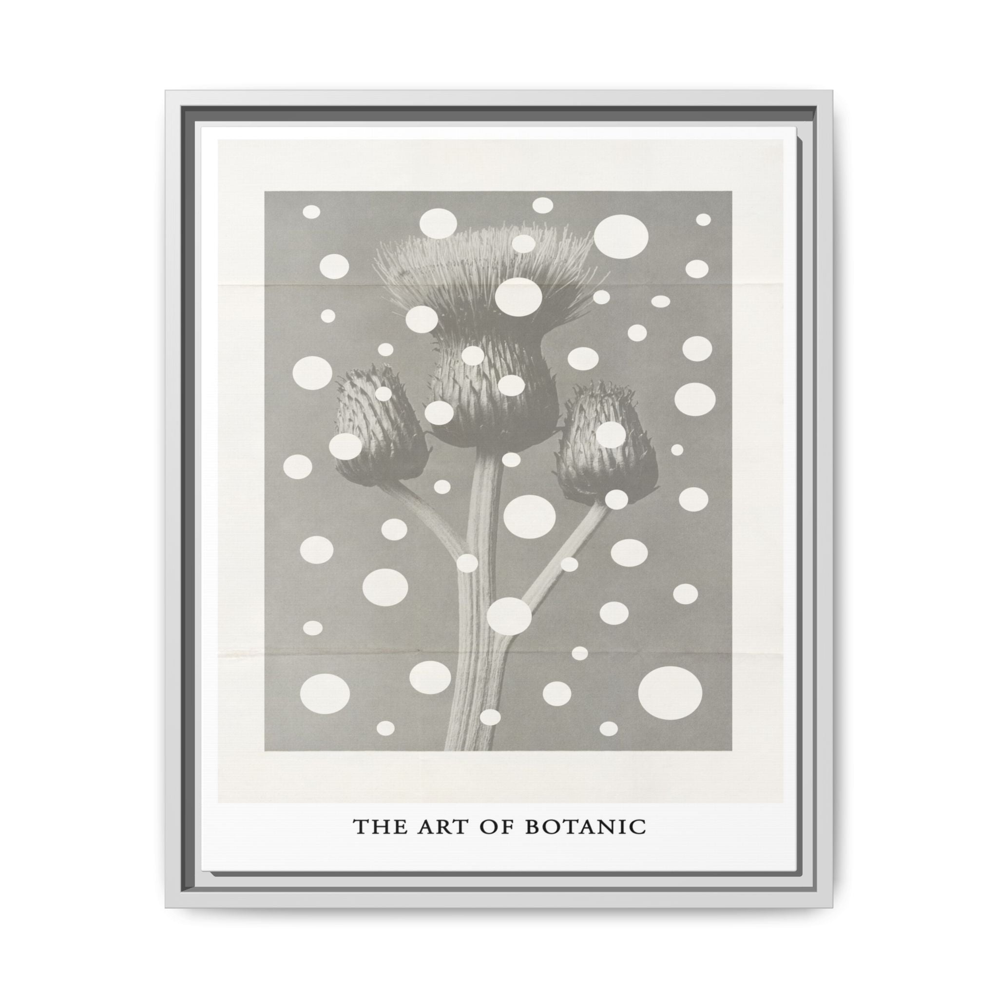 Winter Thistle Reverie - Framed