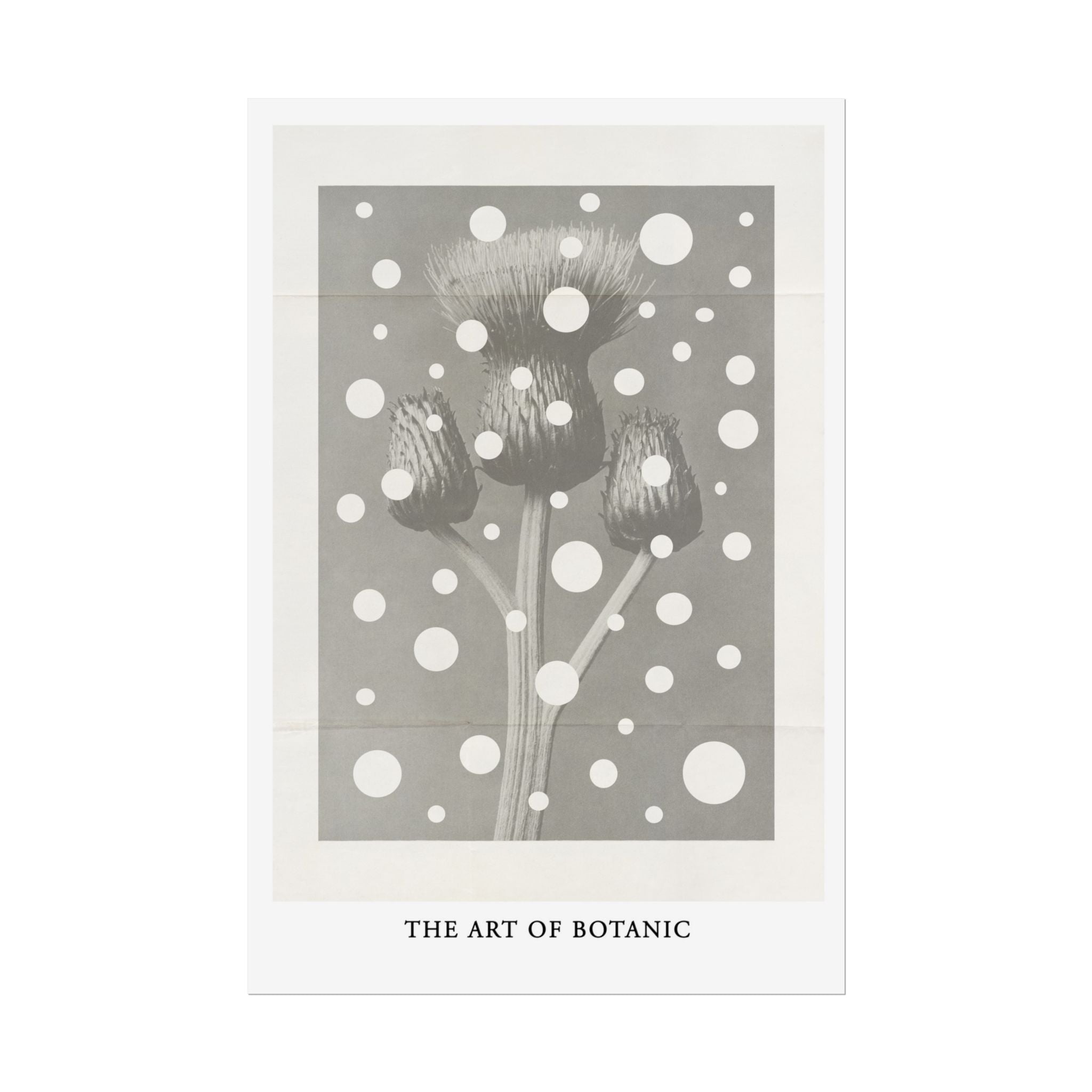 Winter Thistle Reverie - Poster