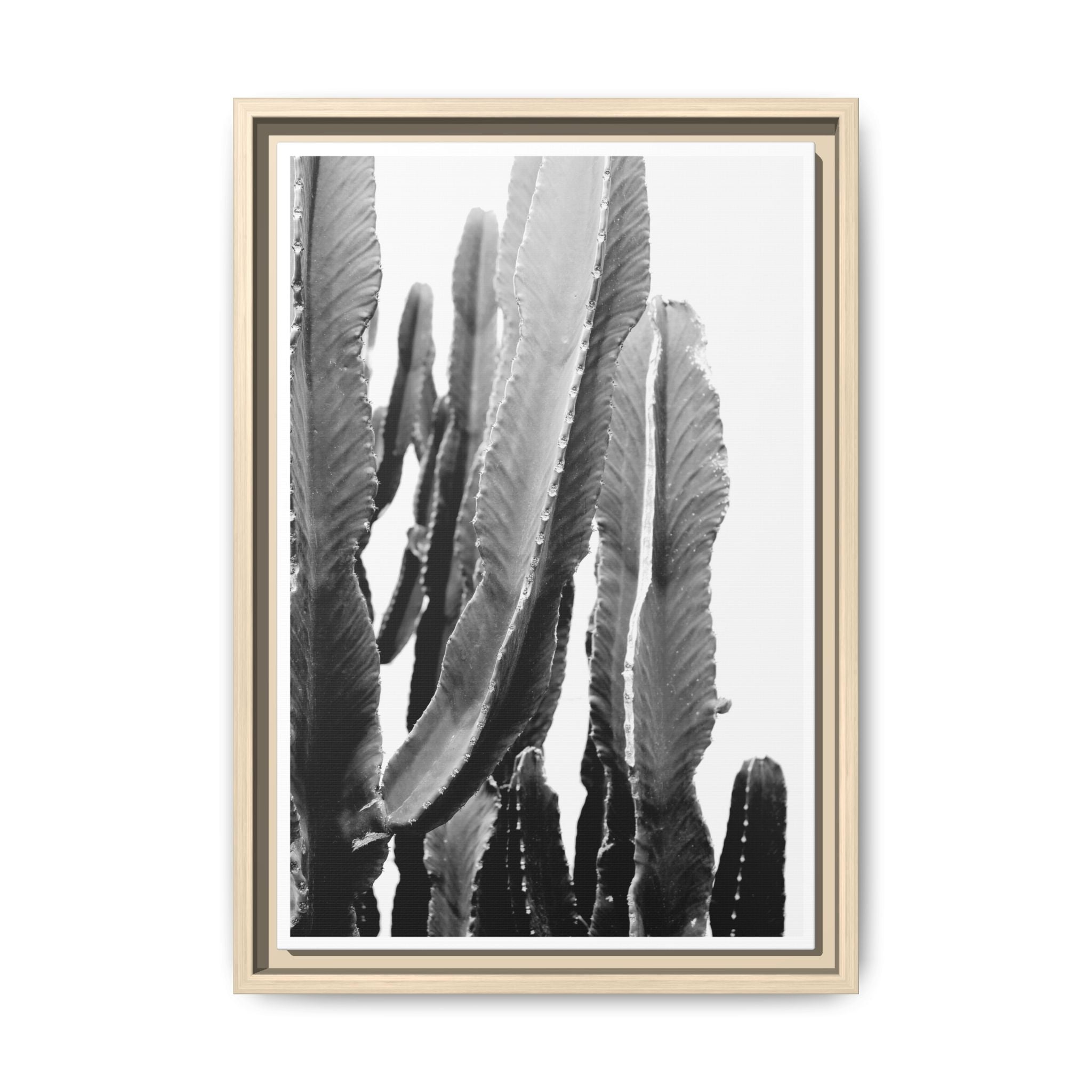 Monochrome Desert Veins - Framed