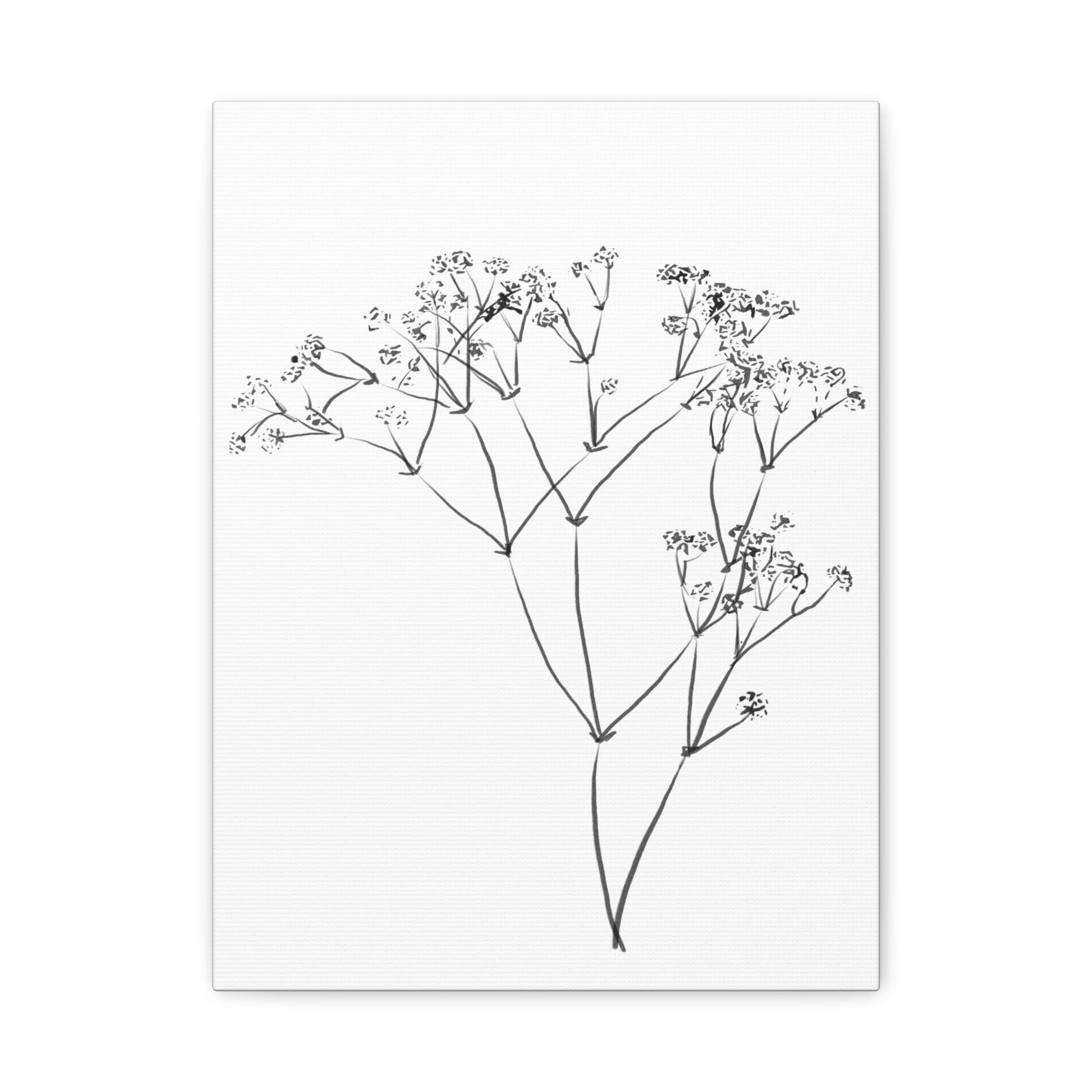 Whispering Meadow Sketch - Canvas