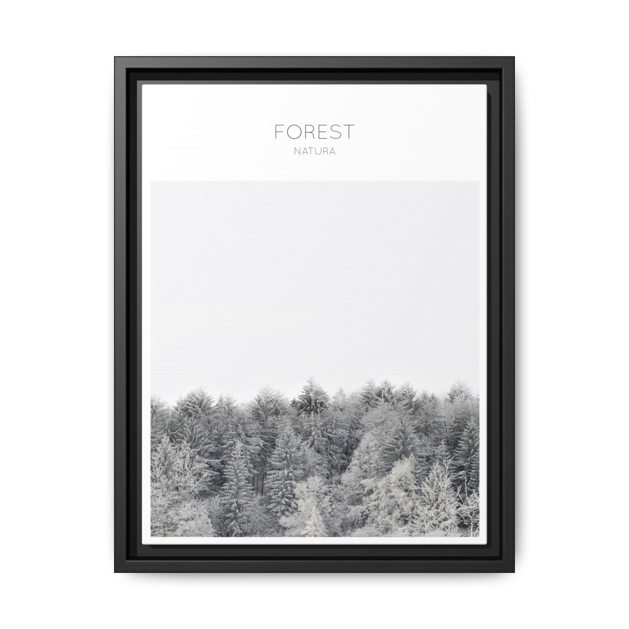 Silent Frost Canopy - Framed