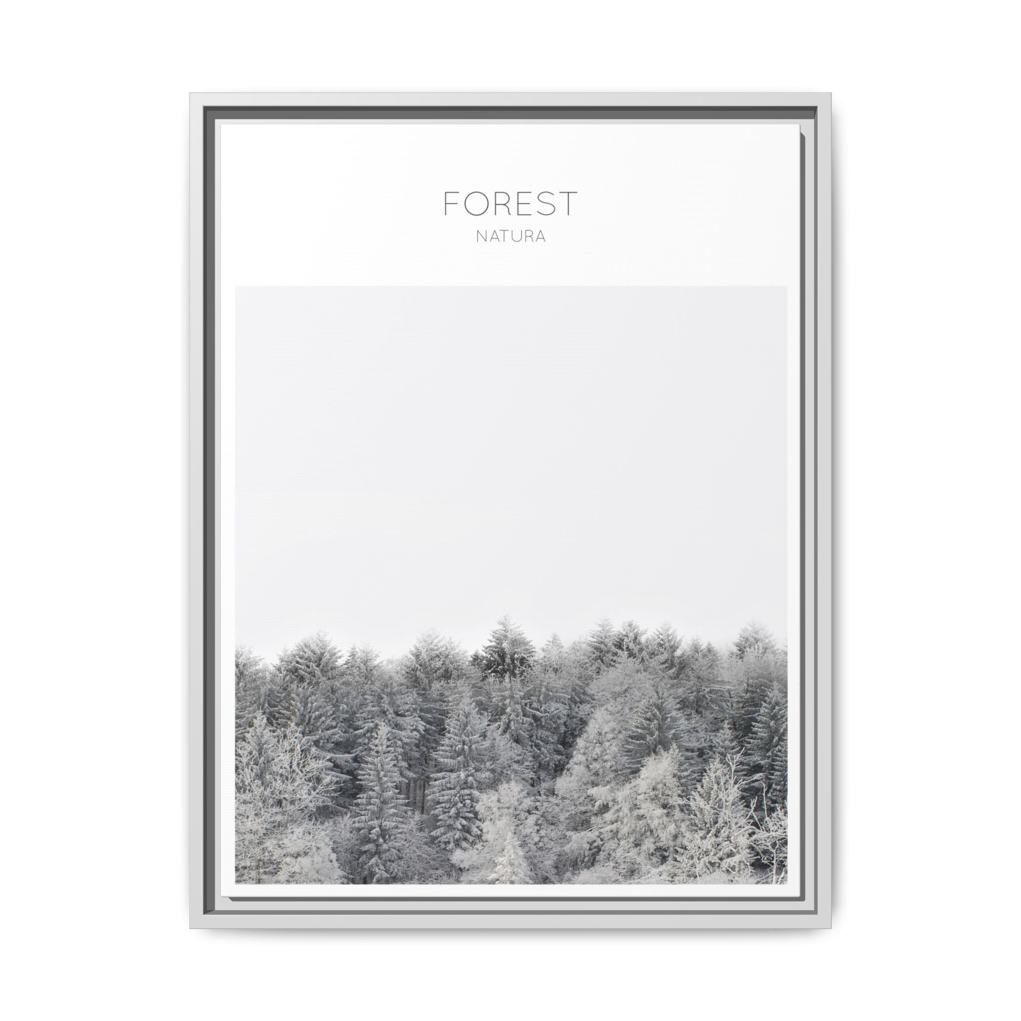 Silent Frost Canopy - Framed