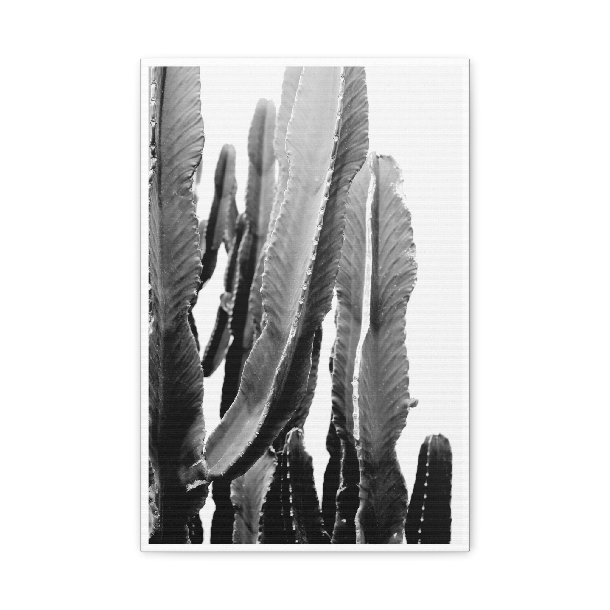 Monochrome Desert Veins - Canvas