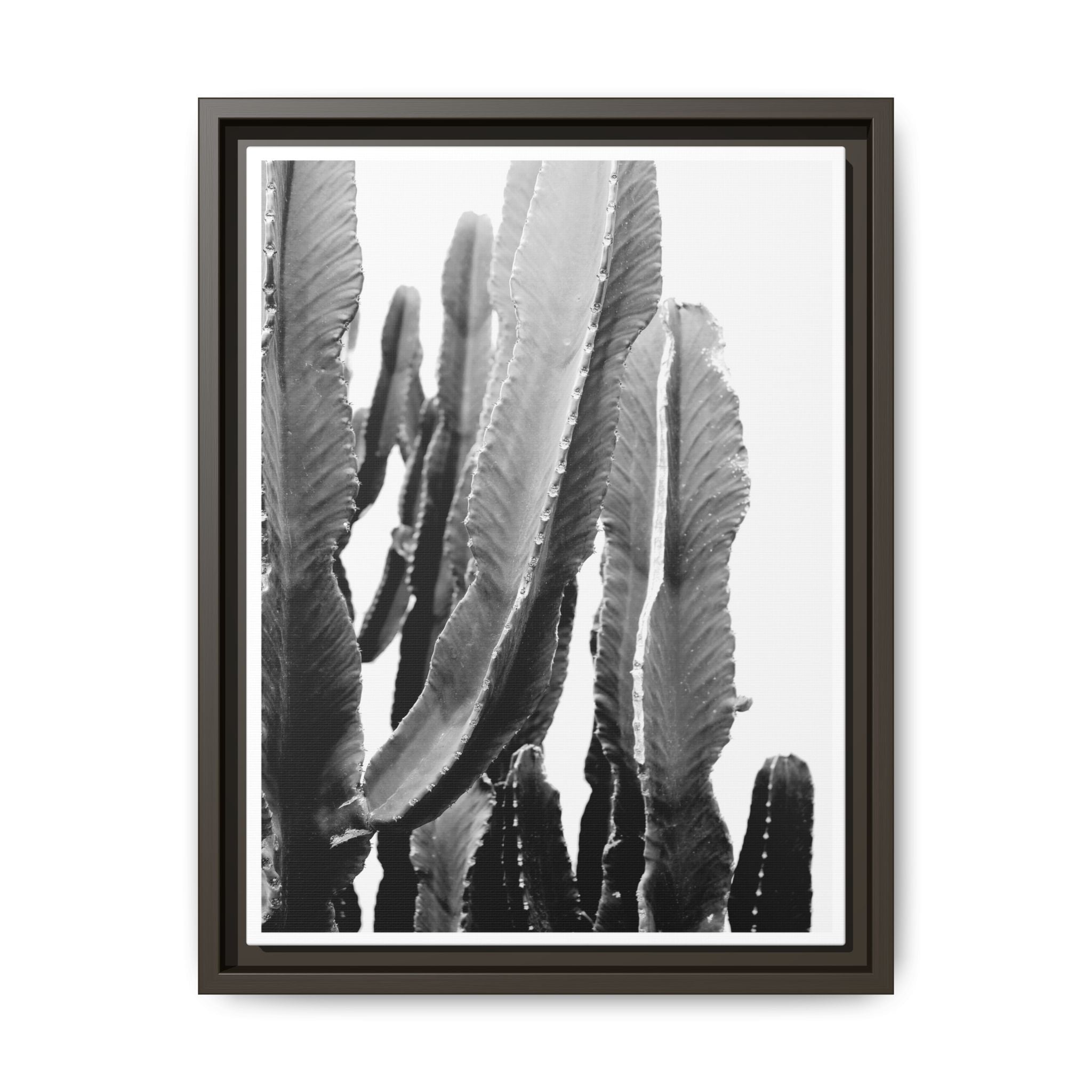 Monochrome Desert Veins - Framed