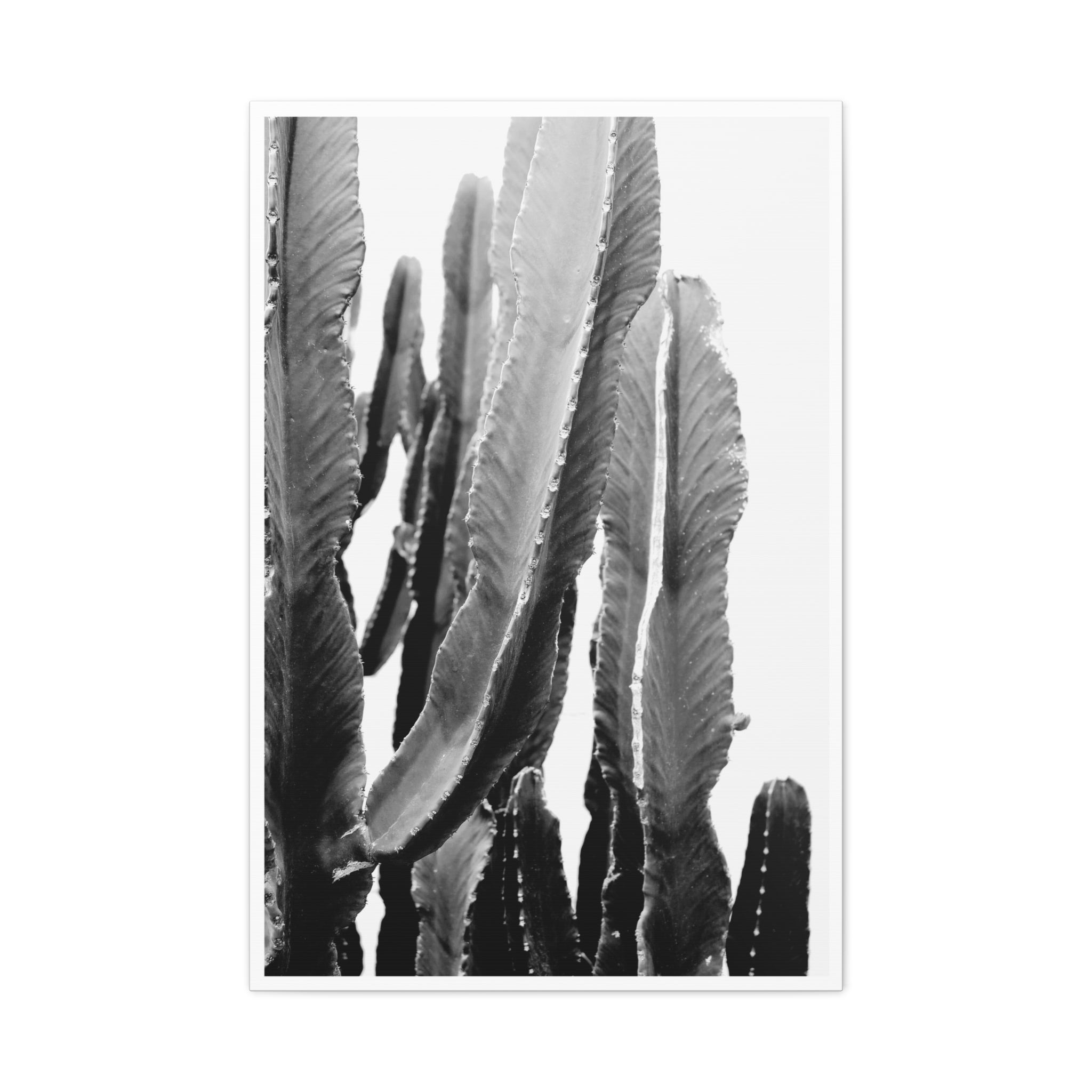Monochrome Desert Veins - Canvas
