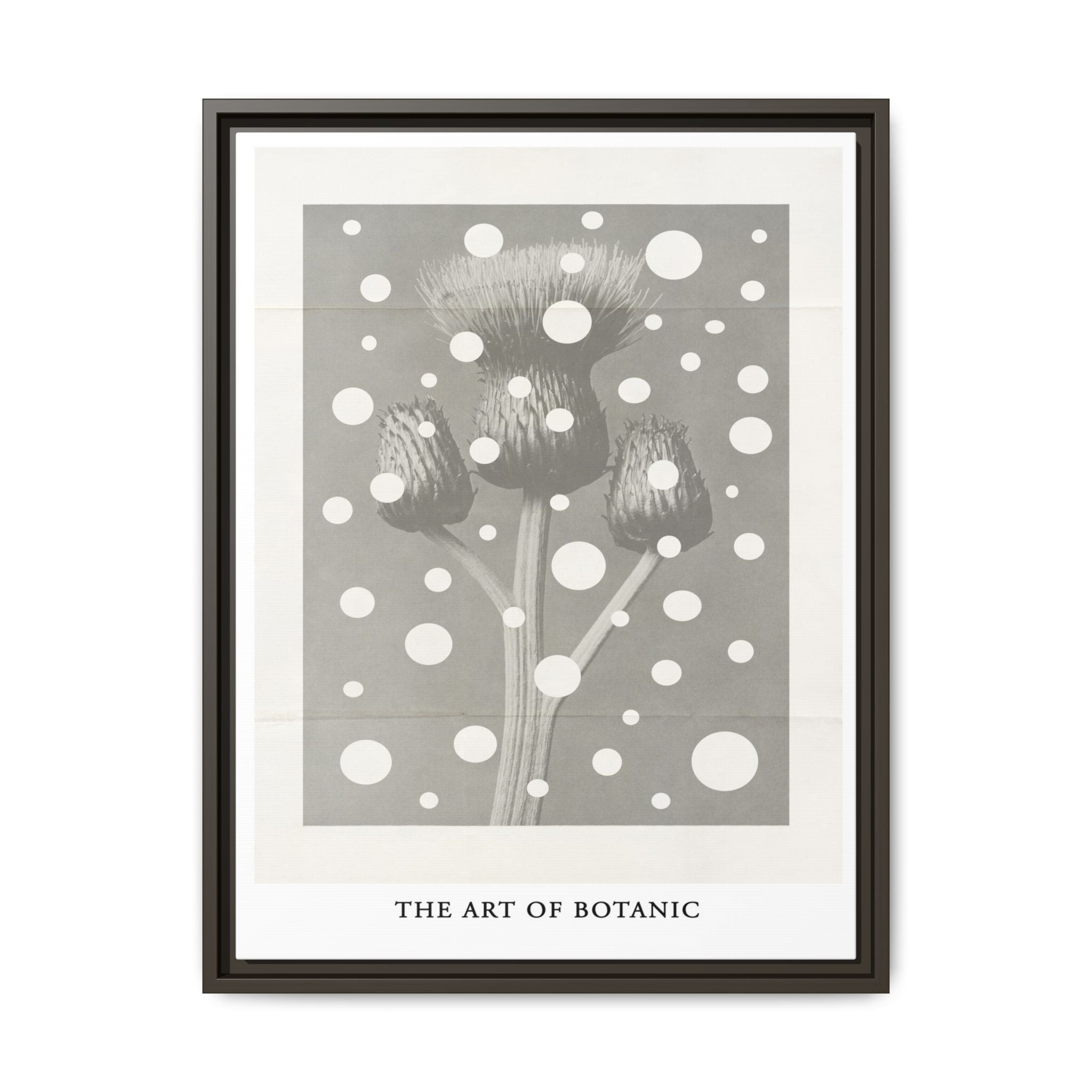 Winter Thistle Reverie - Framed