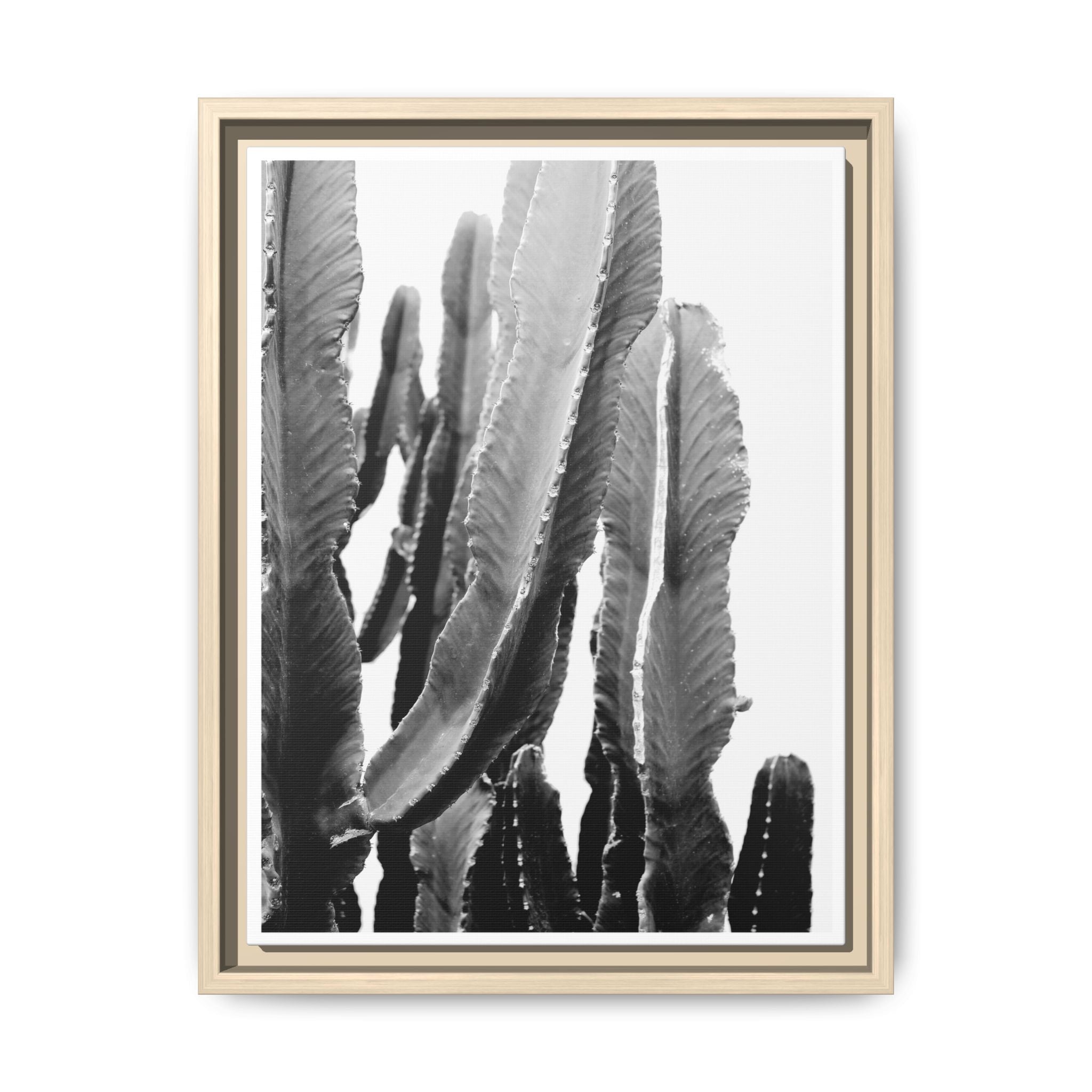 Monochrome Desert Veins - Framed
