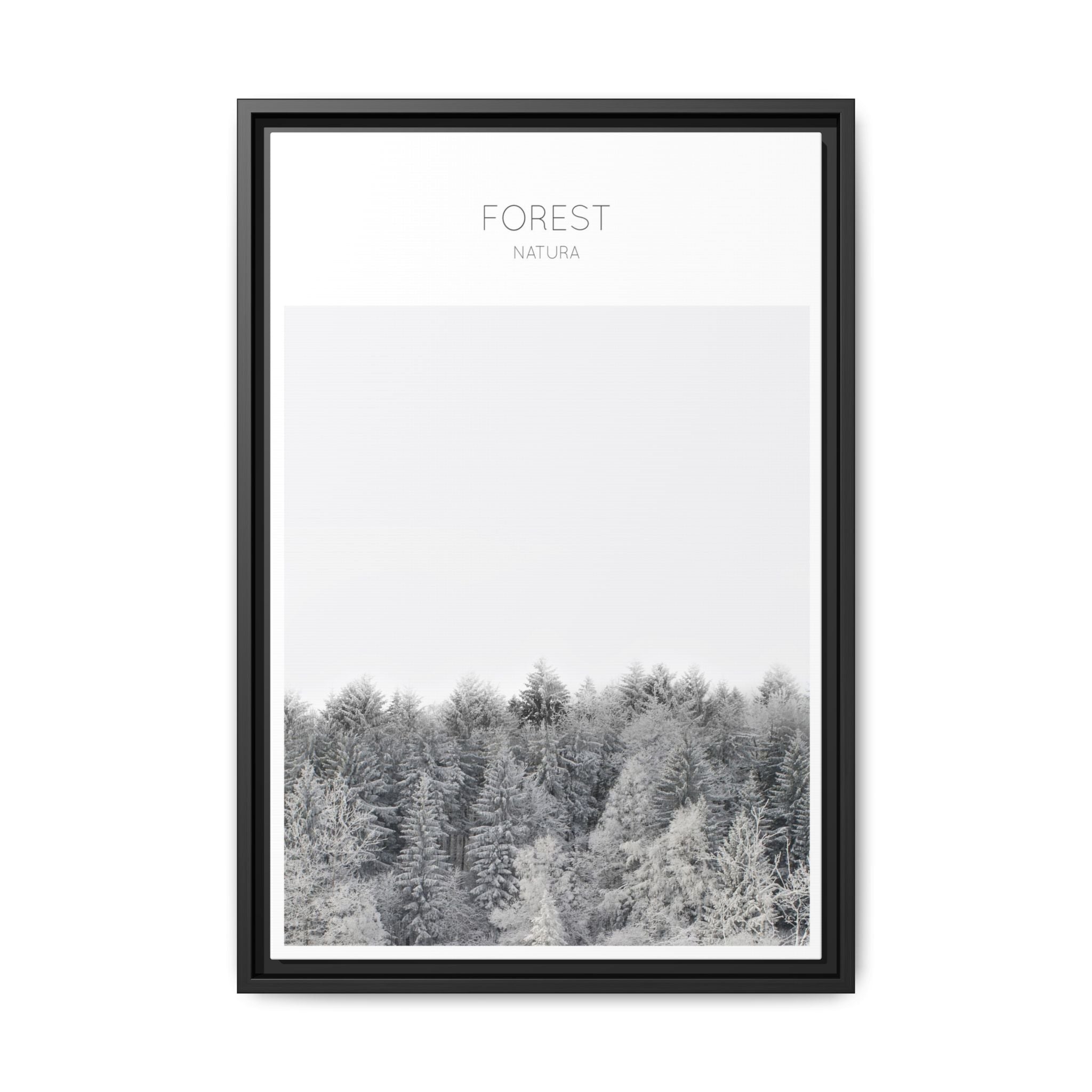 Silent Frost Canopy - Framed