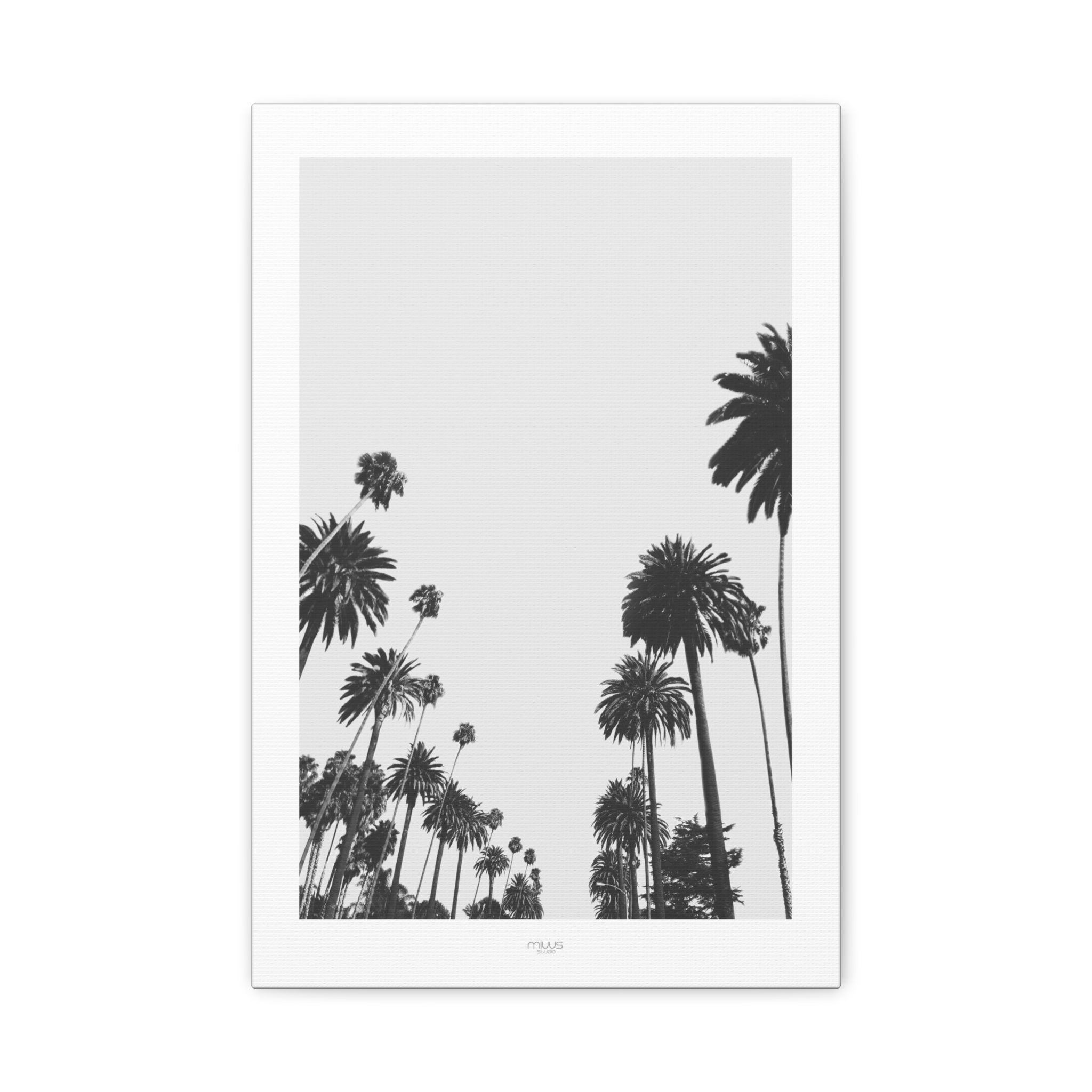 Midnight Palm Reverie - Canvas
