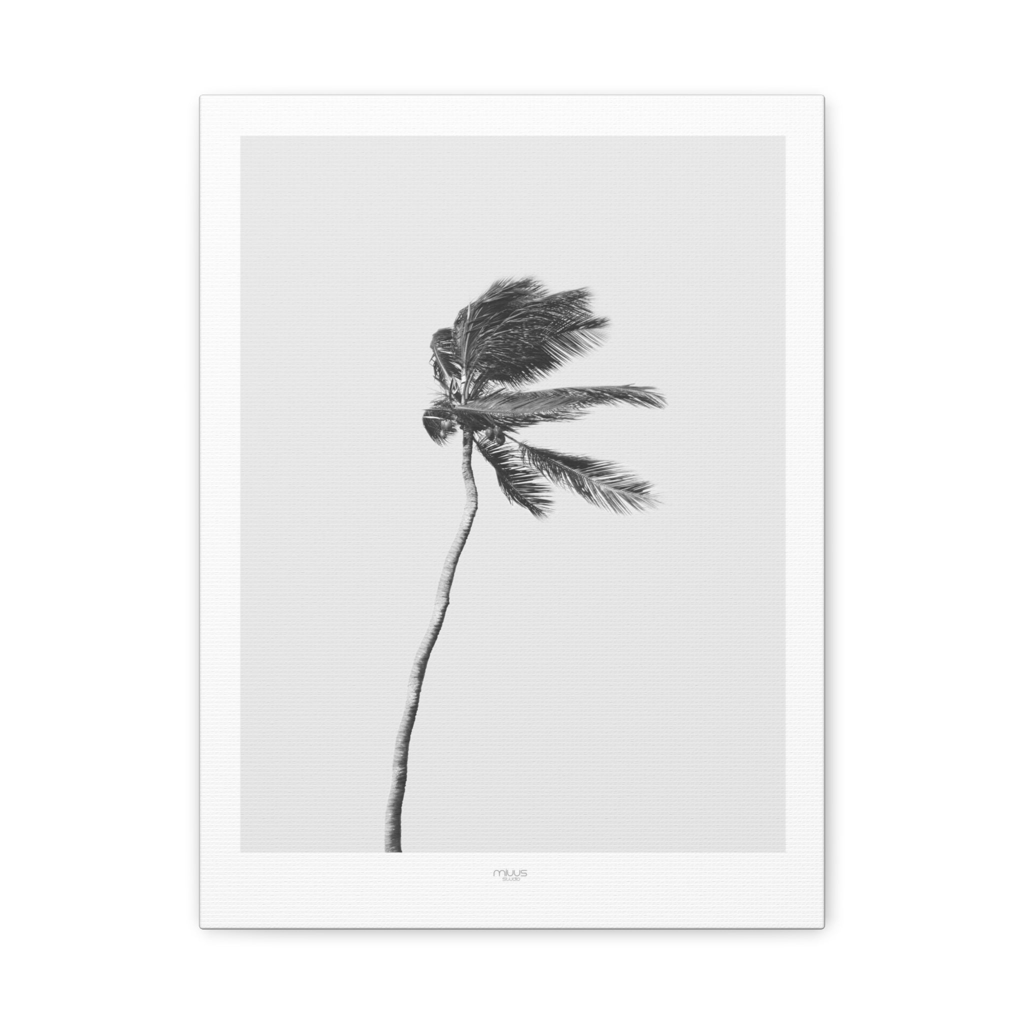 Coastal Silence Sway - Canvas
