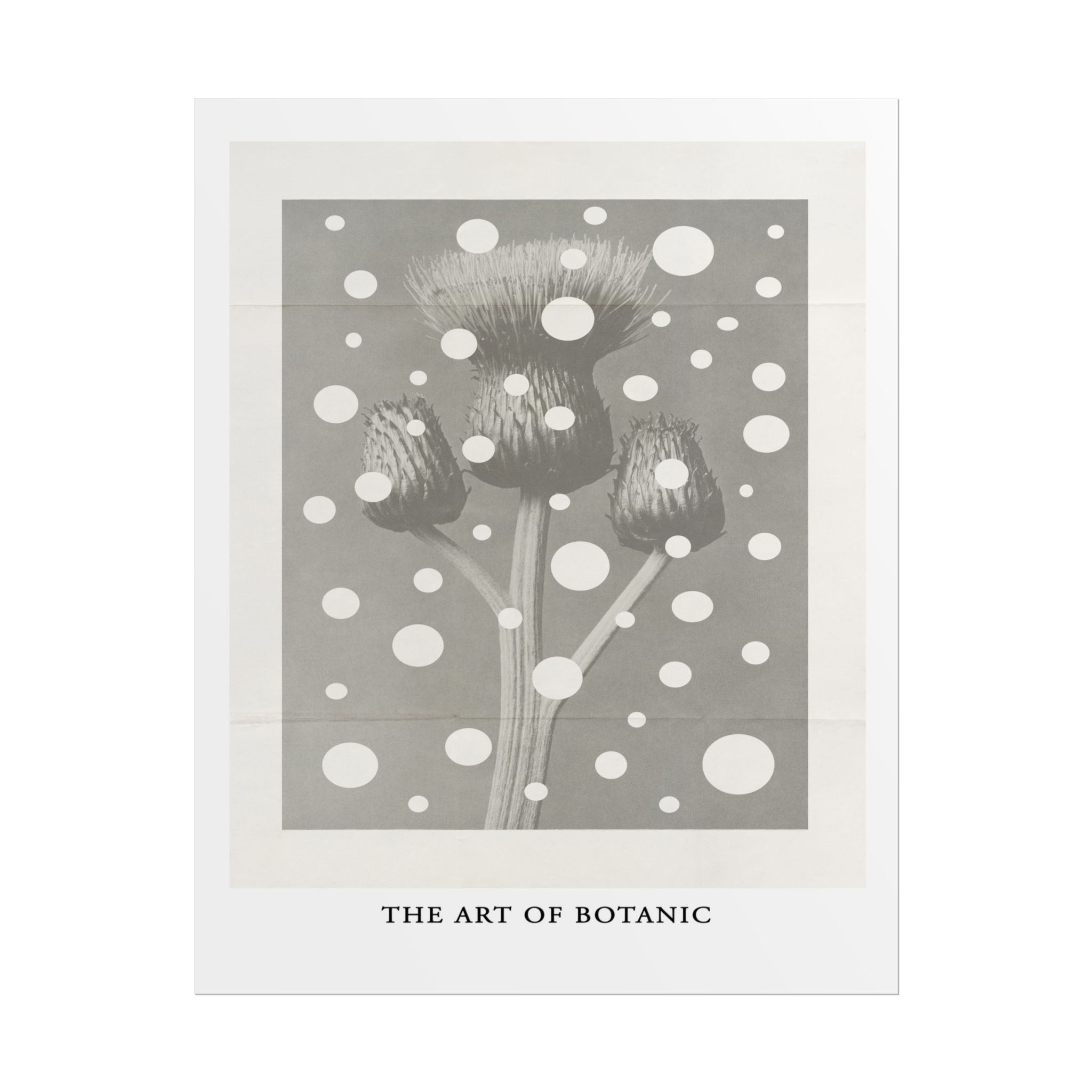 Winter Thistle Reverie - Poster