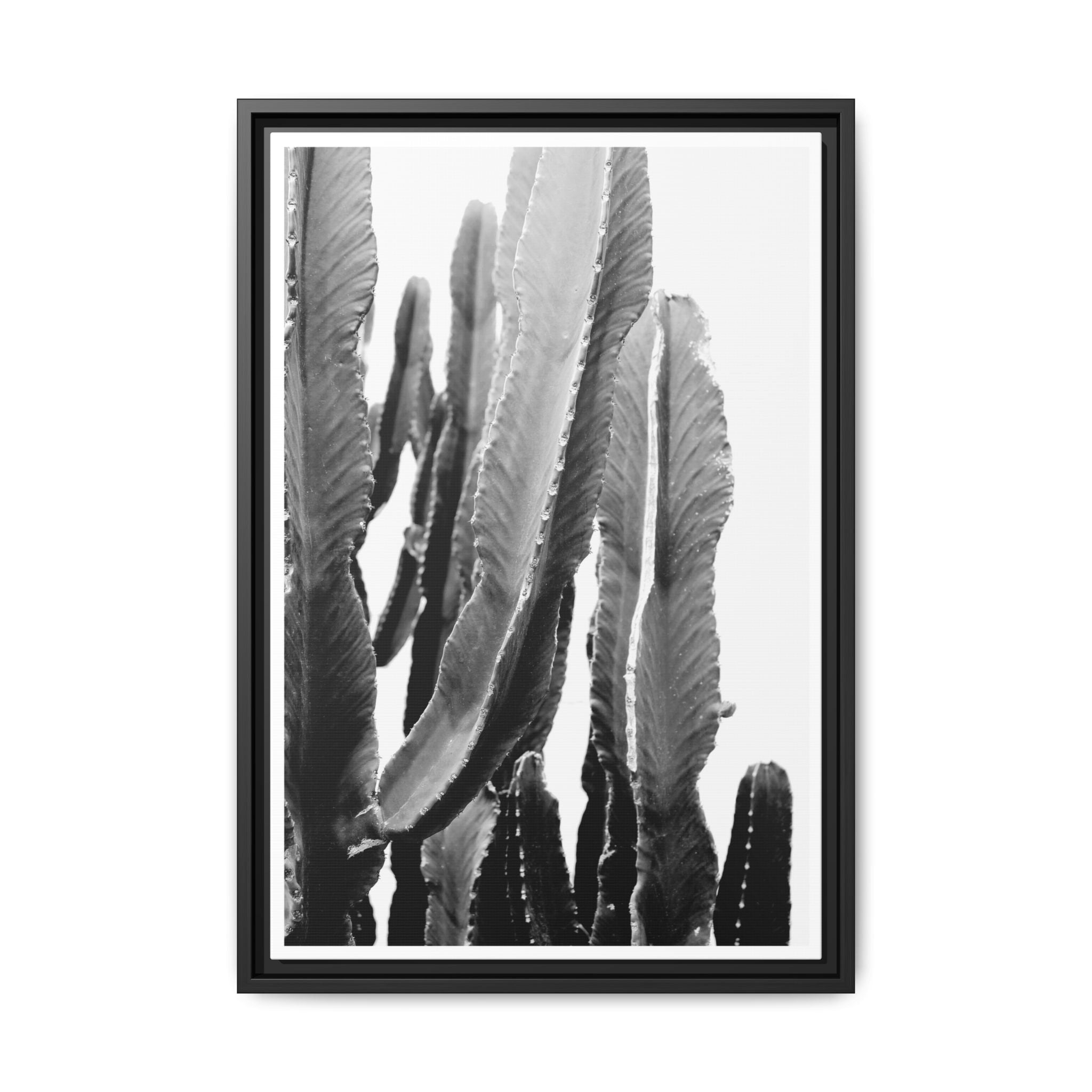 Monochrome Desert Veins - Framed