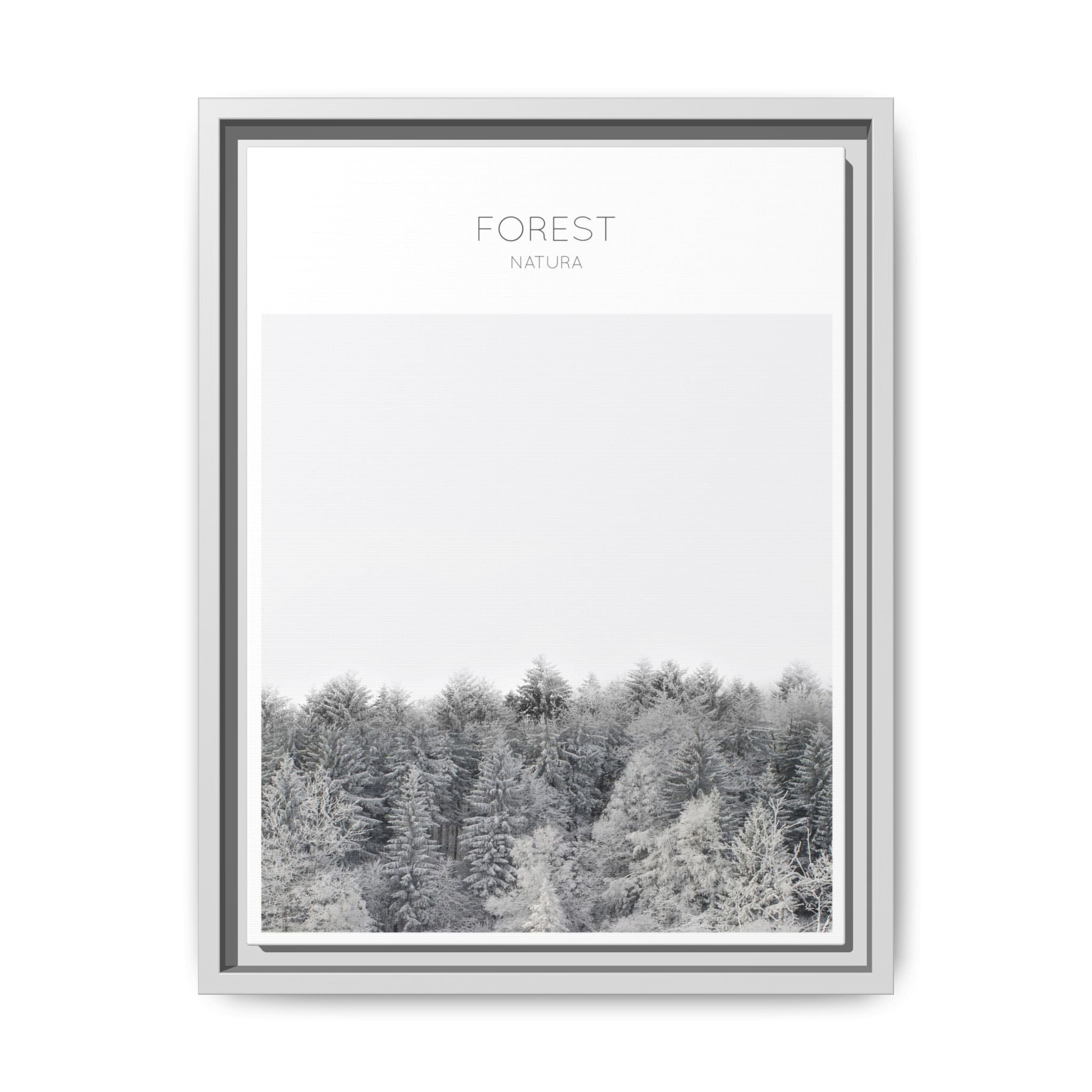 Silent Frost Canopy - Framed