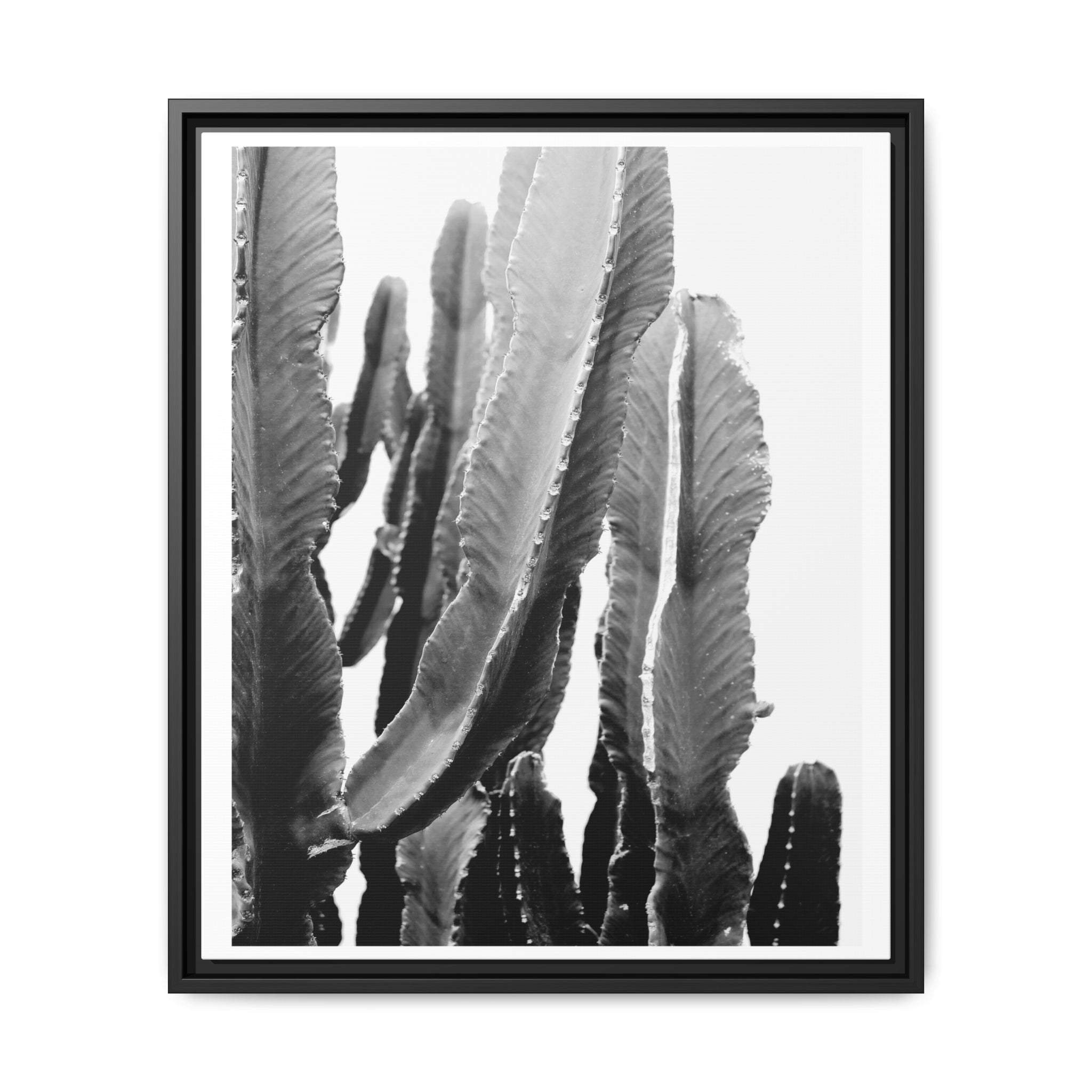 Monochrome Desert Veins - Framed