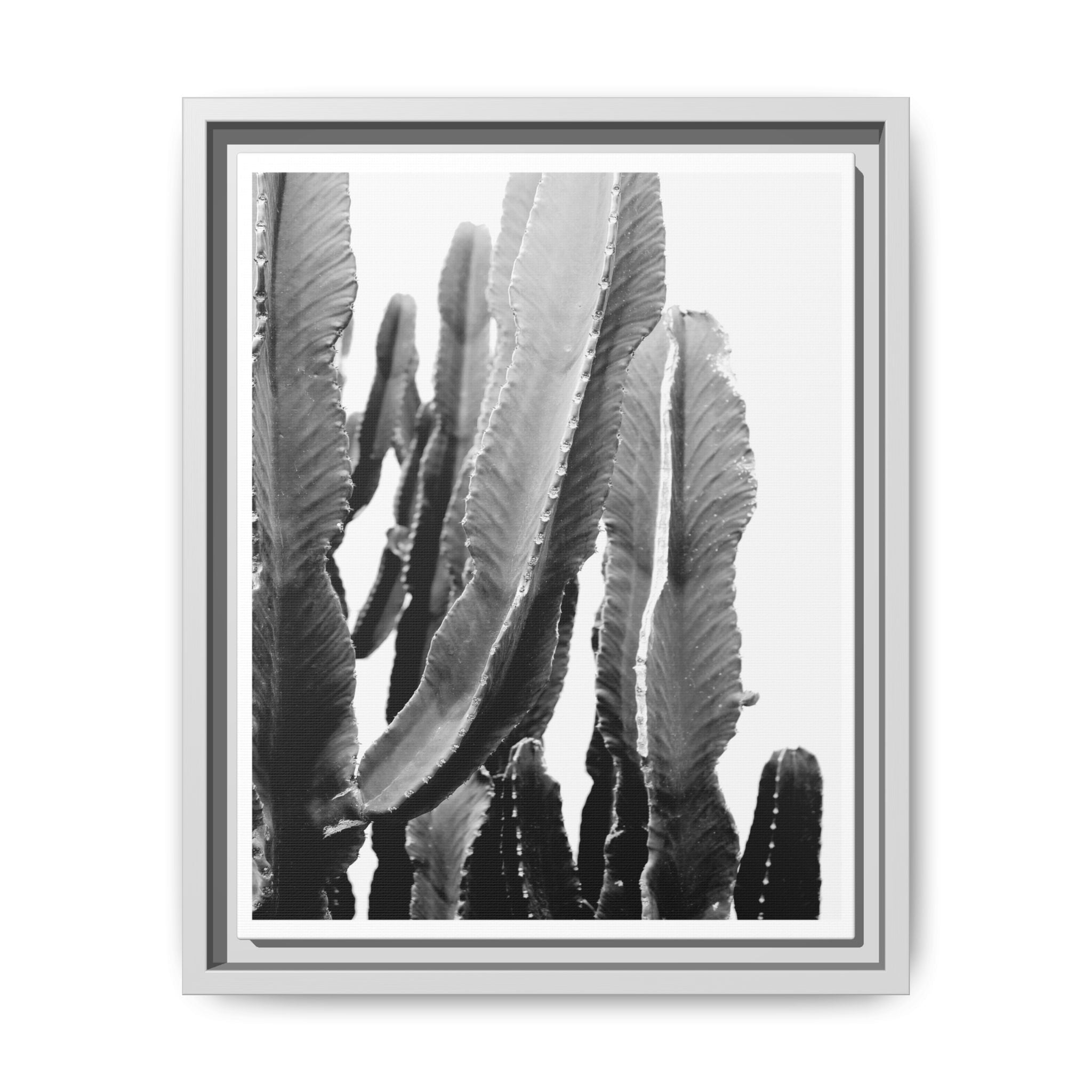 Monochrome Desert Veins - Framed