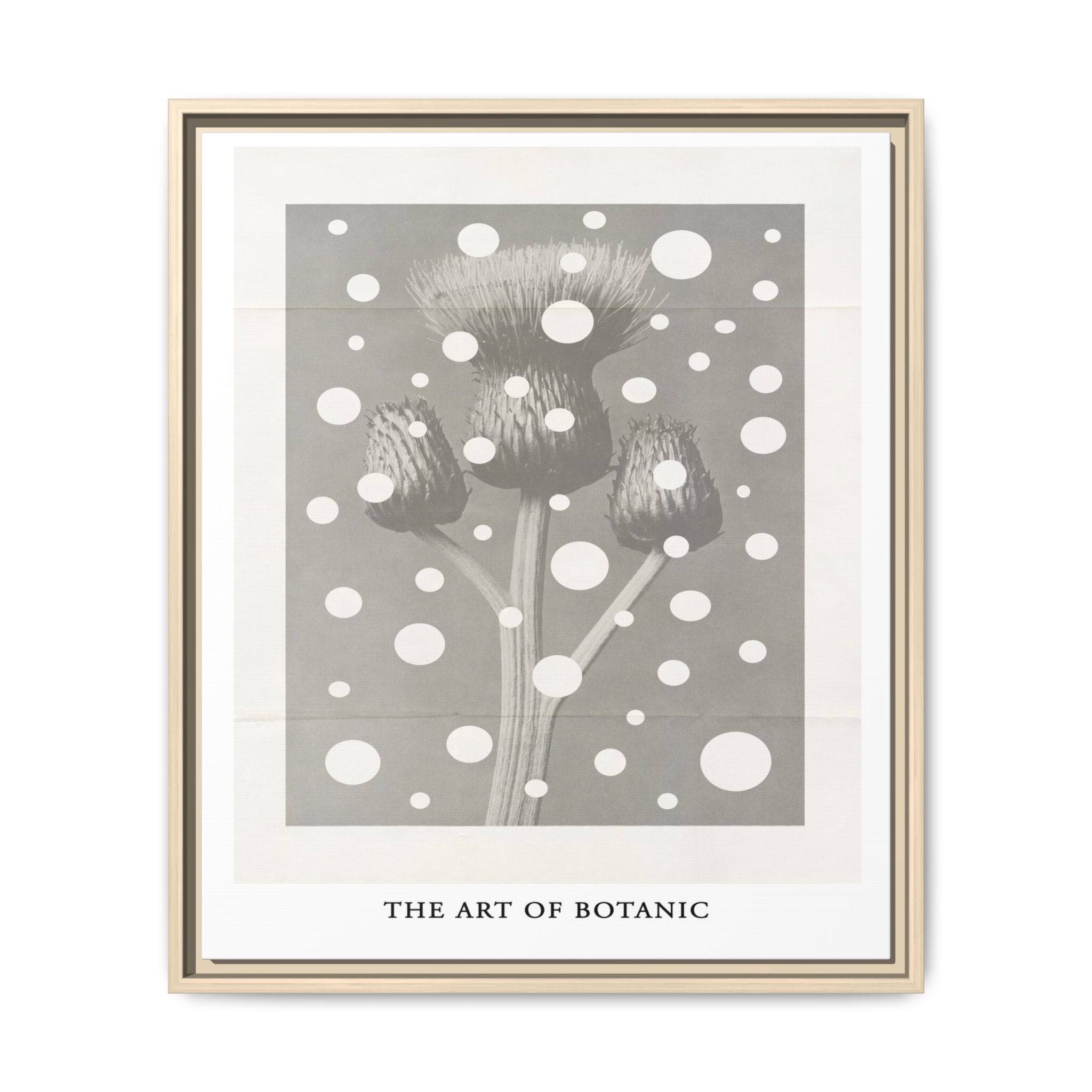 Winter Thistle Reverie - Framed