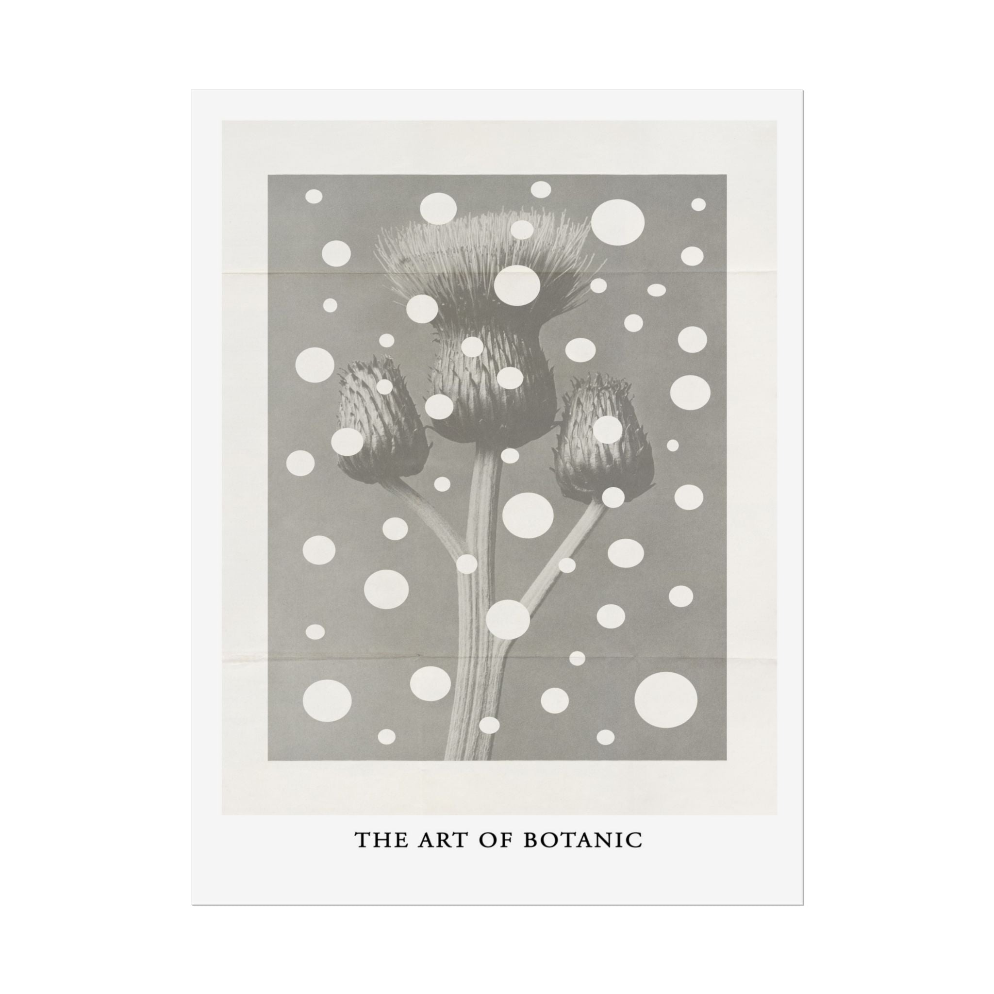 Winter Thistle Reverie - Poster