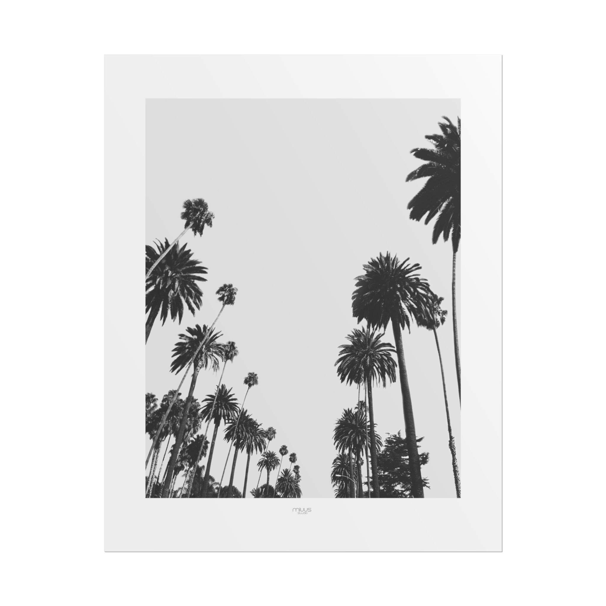 Midnight Palm Reverie - Poster