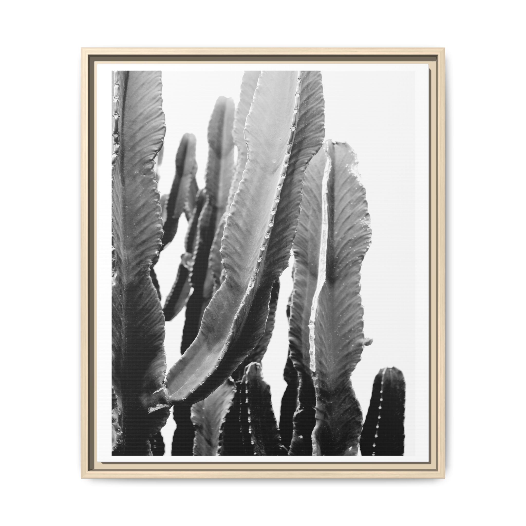 Monochrome Desert Veins - Framed