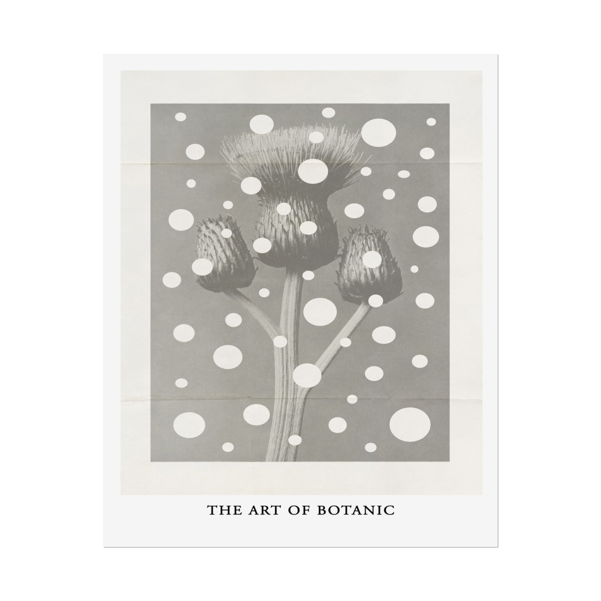 Winter Thistle Reverie - Poster