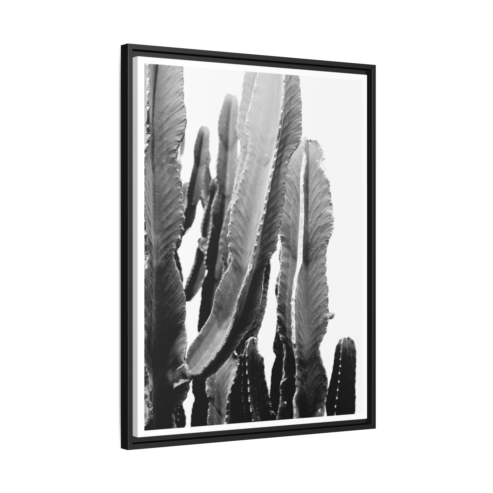 Monochrome Desert Veins - Framed
