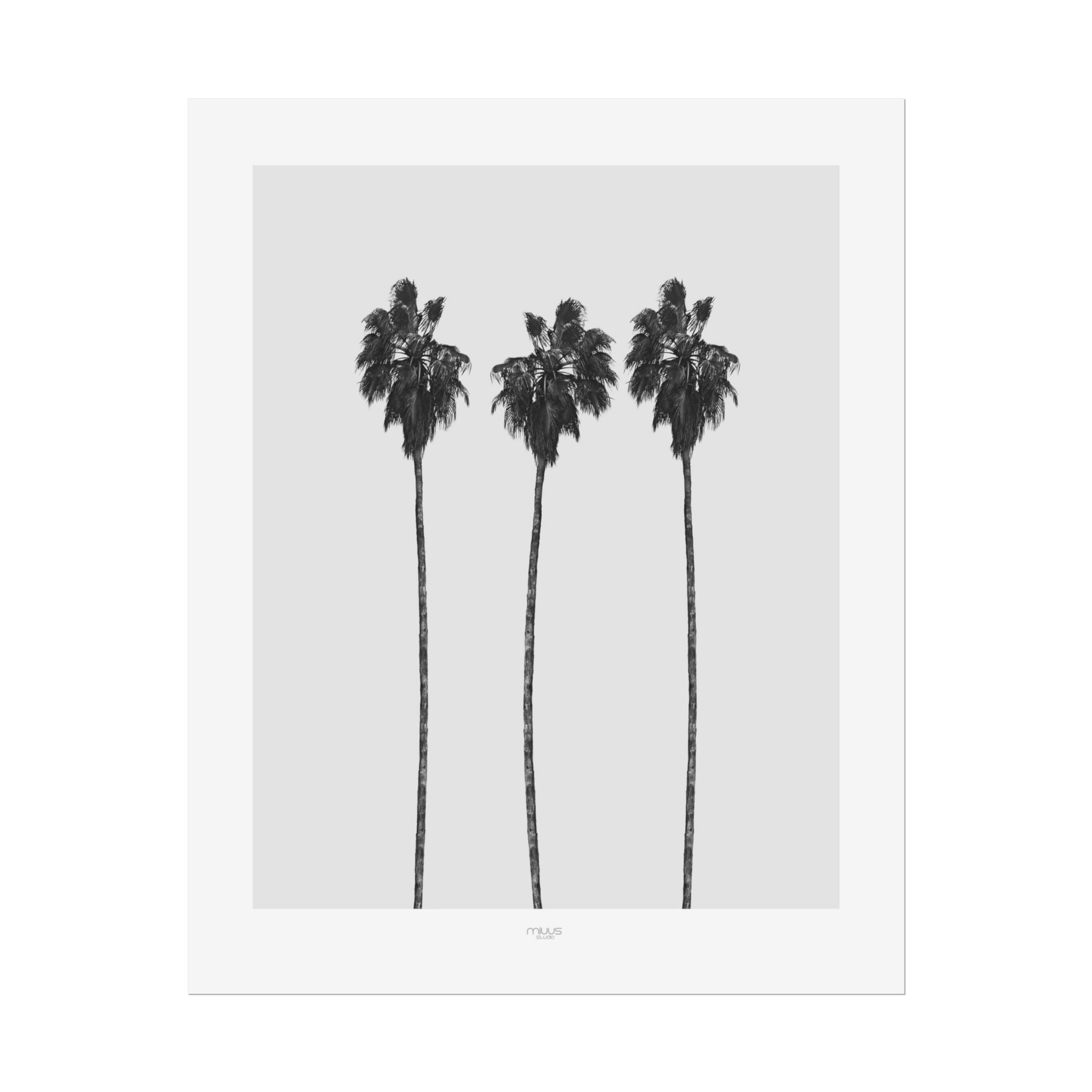 Silver Coast Palm Trio - Poster