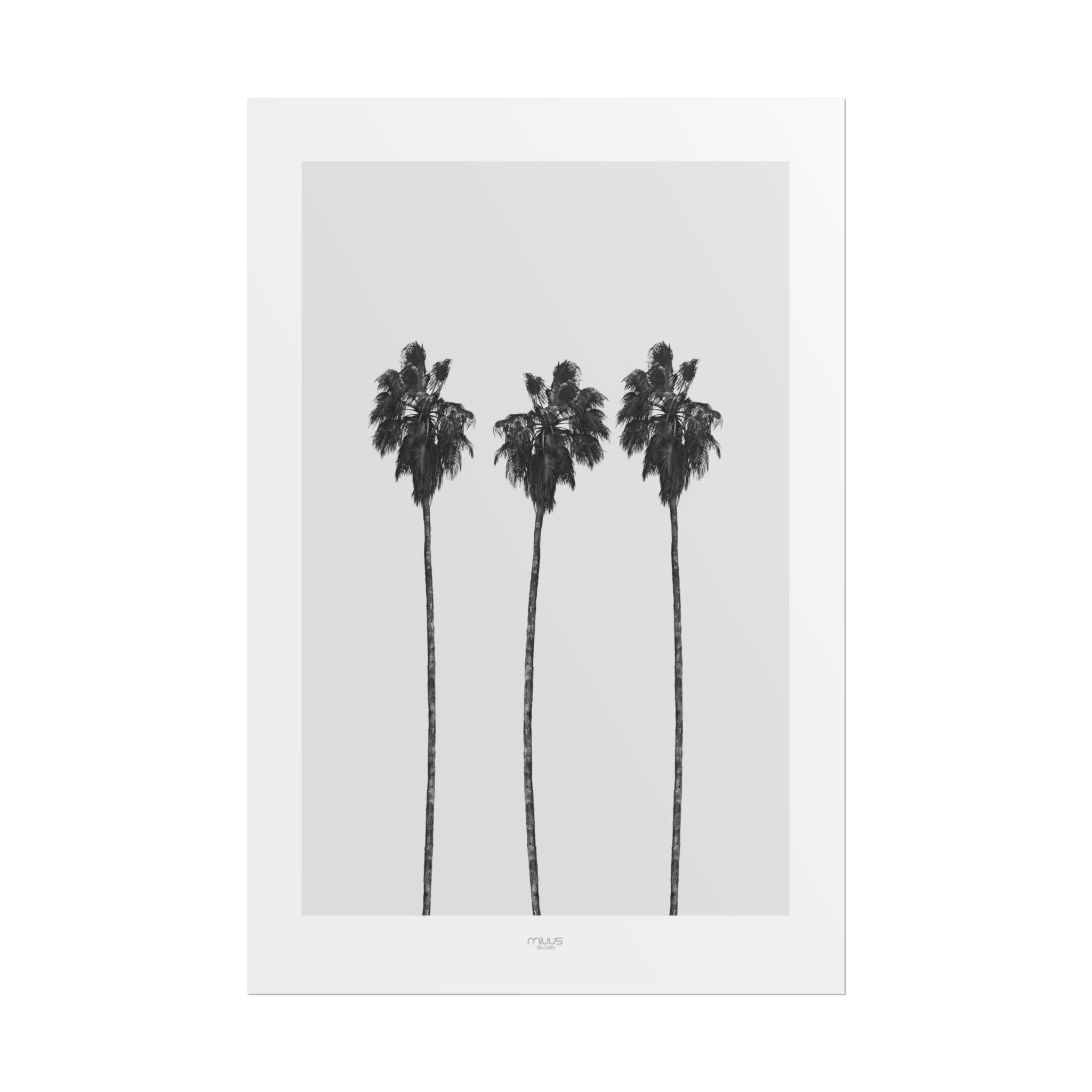 Silver Coast Palm Trio - Poster