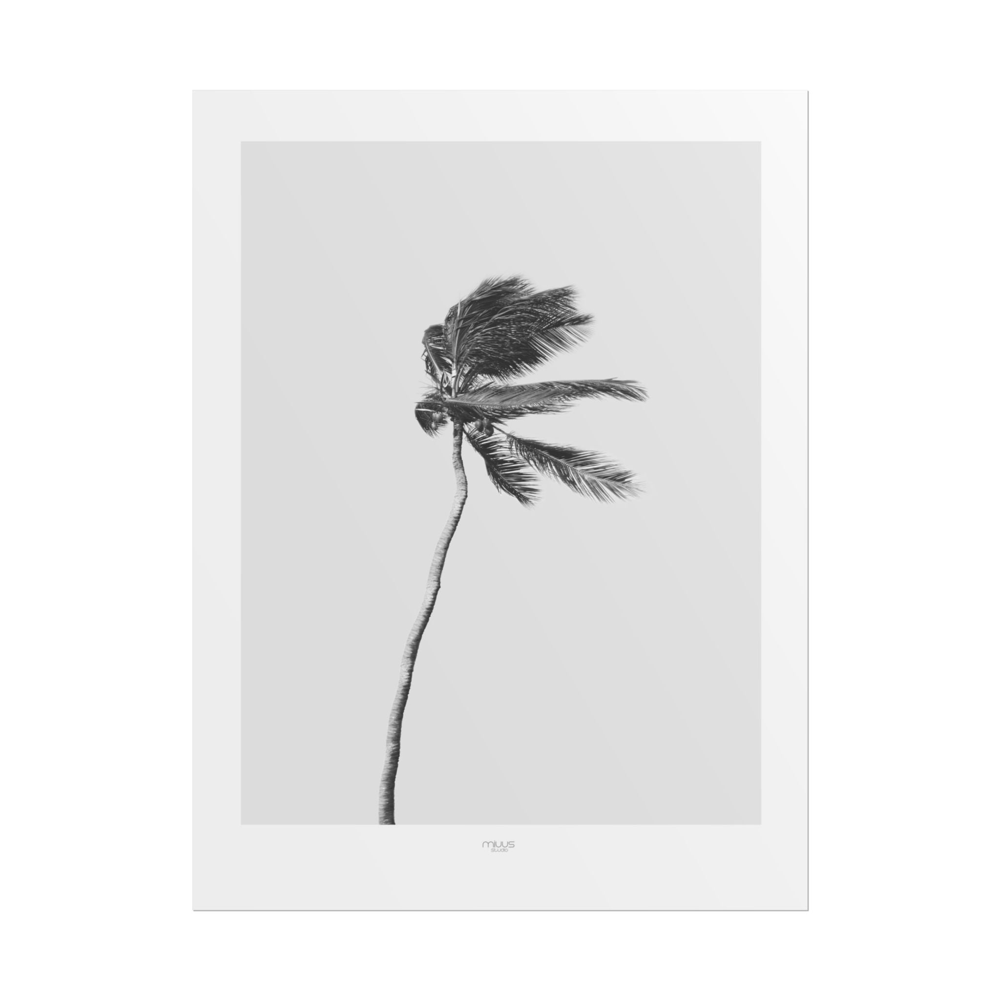 Coastal Silence Sway - Poster