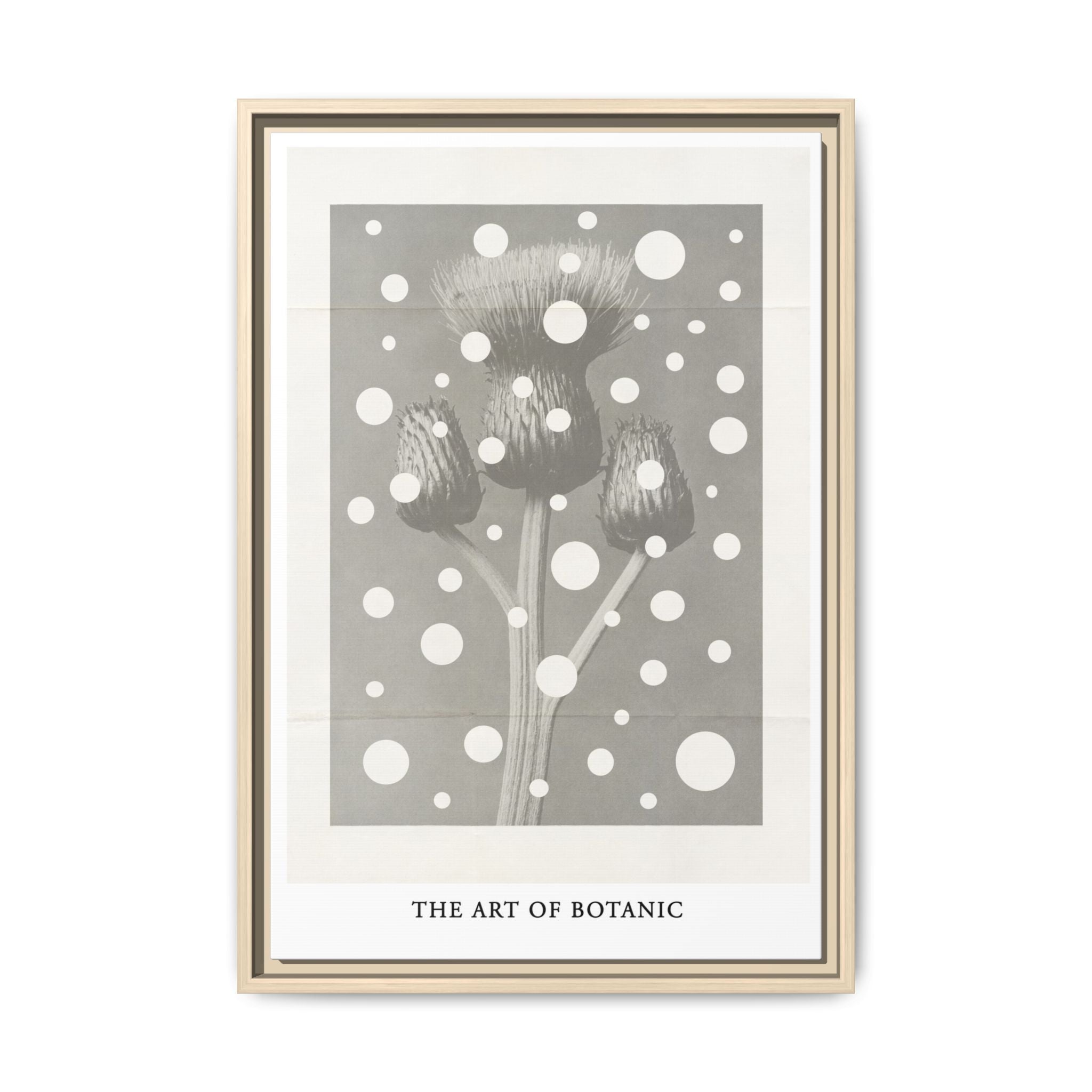 Winter Thistle Reverie - Framed