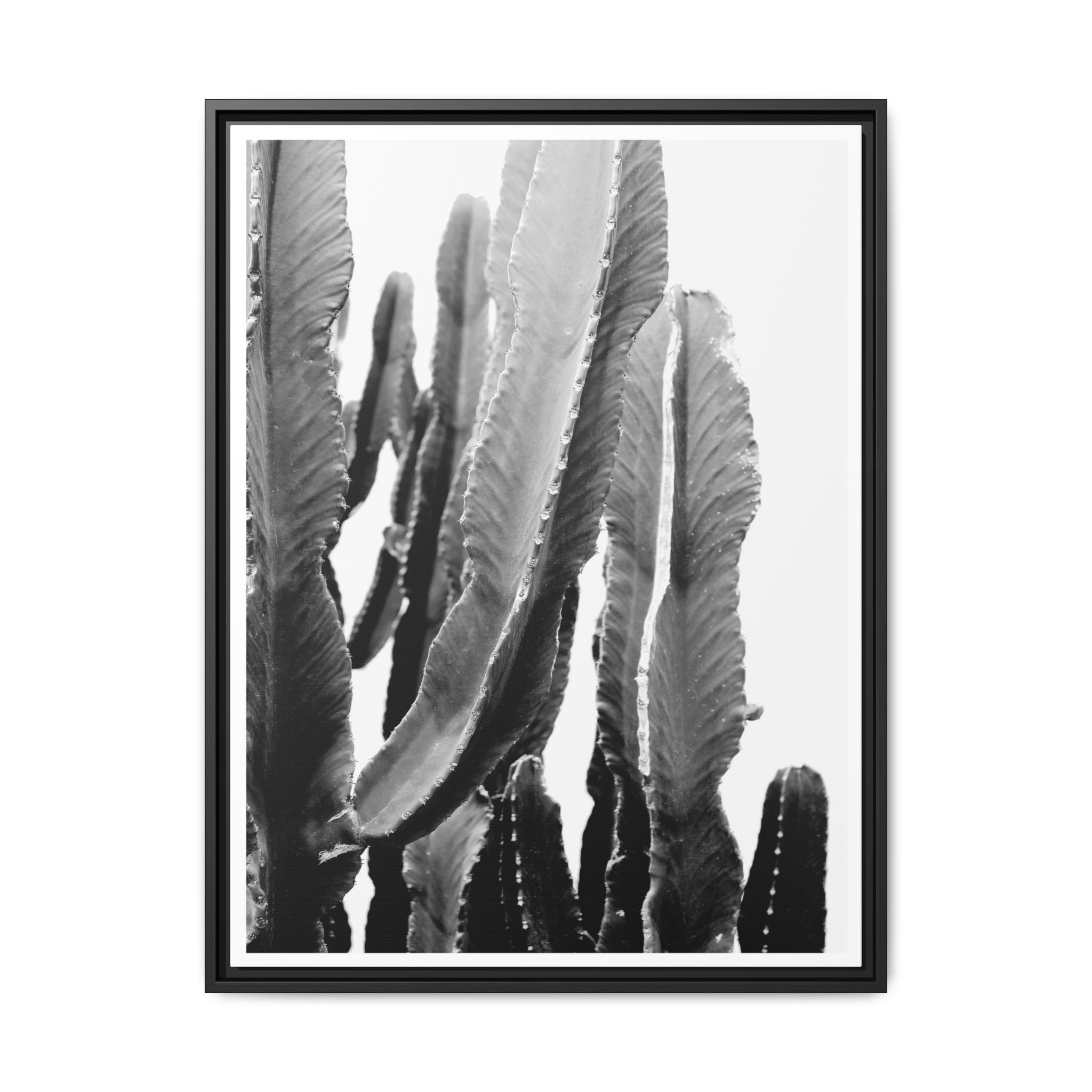 Monochrome Desert Veins - Framed