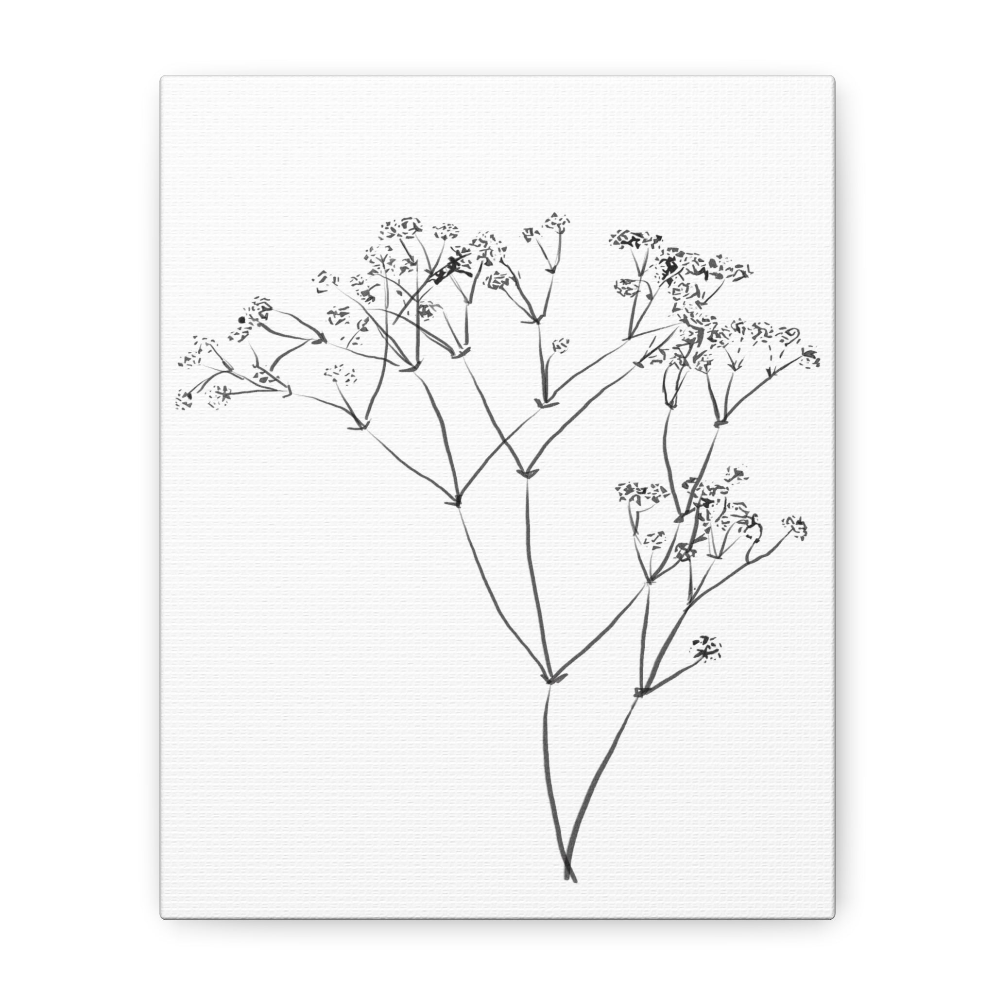 Whispering Meadow Sketch - Canvas
