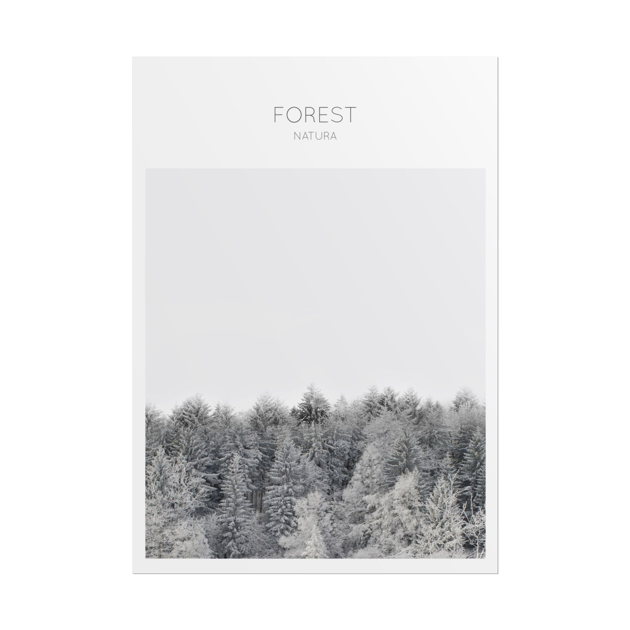 Silent Frost Canopy - Poster