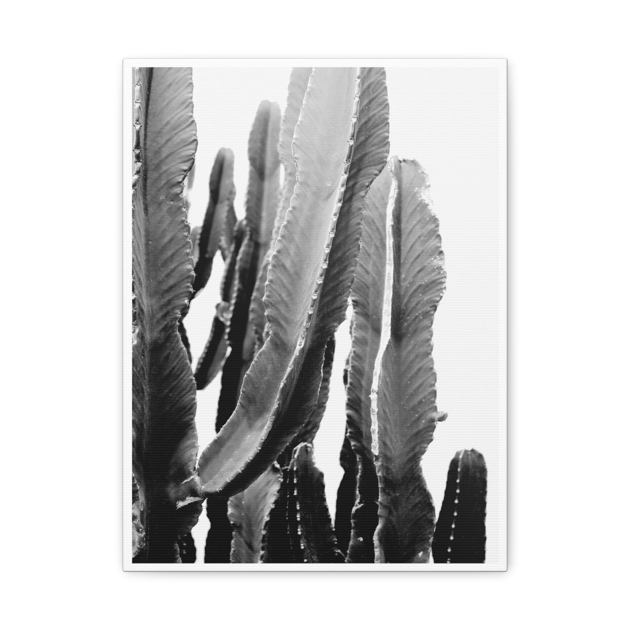 Monochrome Desert Veins - Canvas