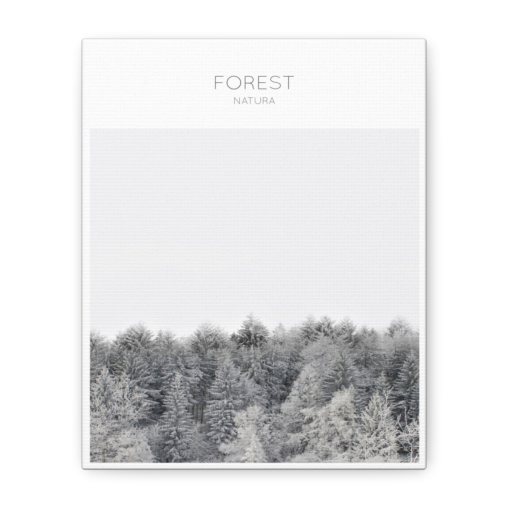 Silent Frost Canopy - Canvas