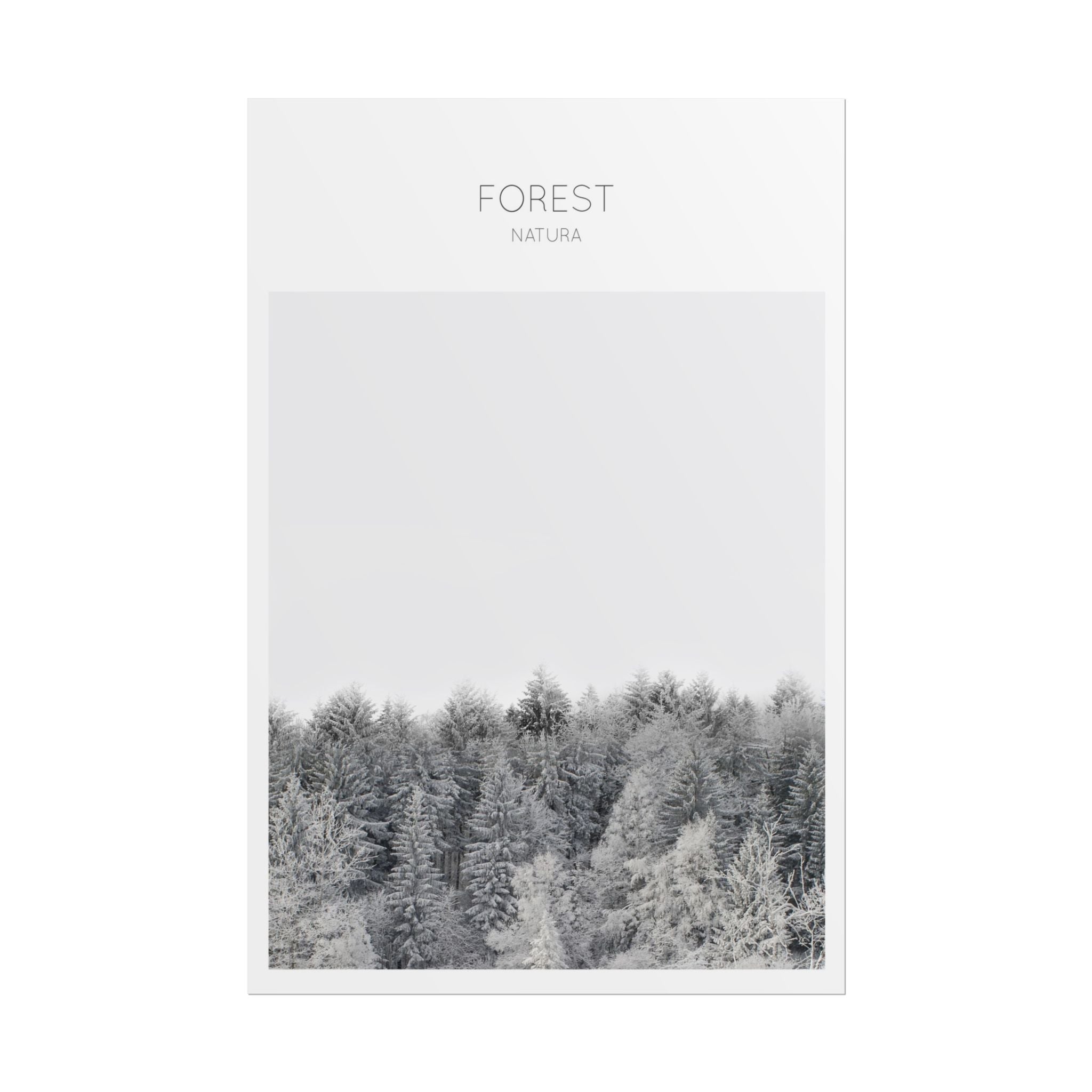 Silent Frost Canopy - Poster