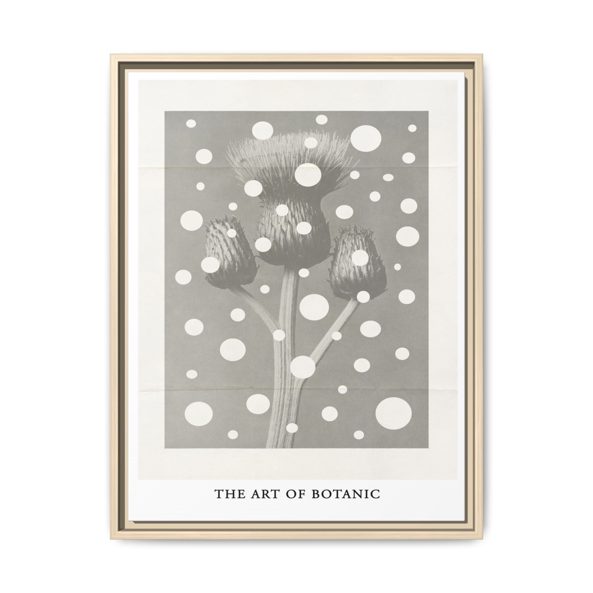 Winter Thistle Reverie - Framed