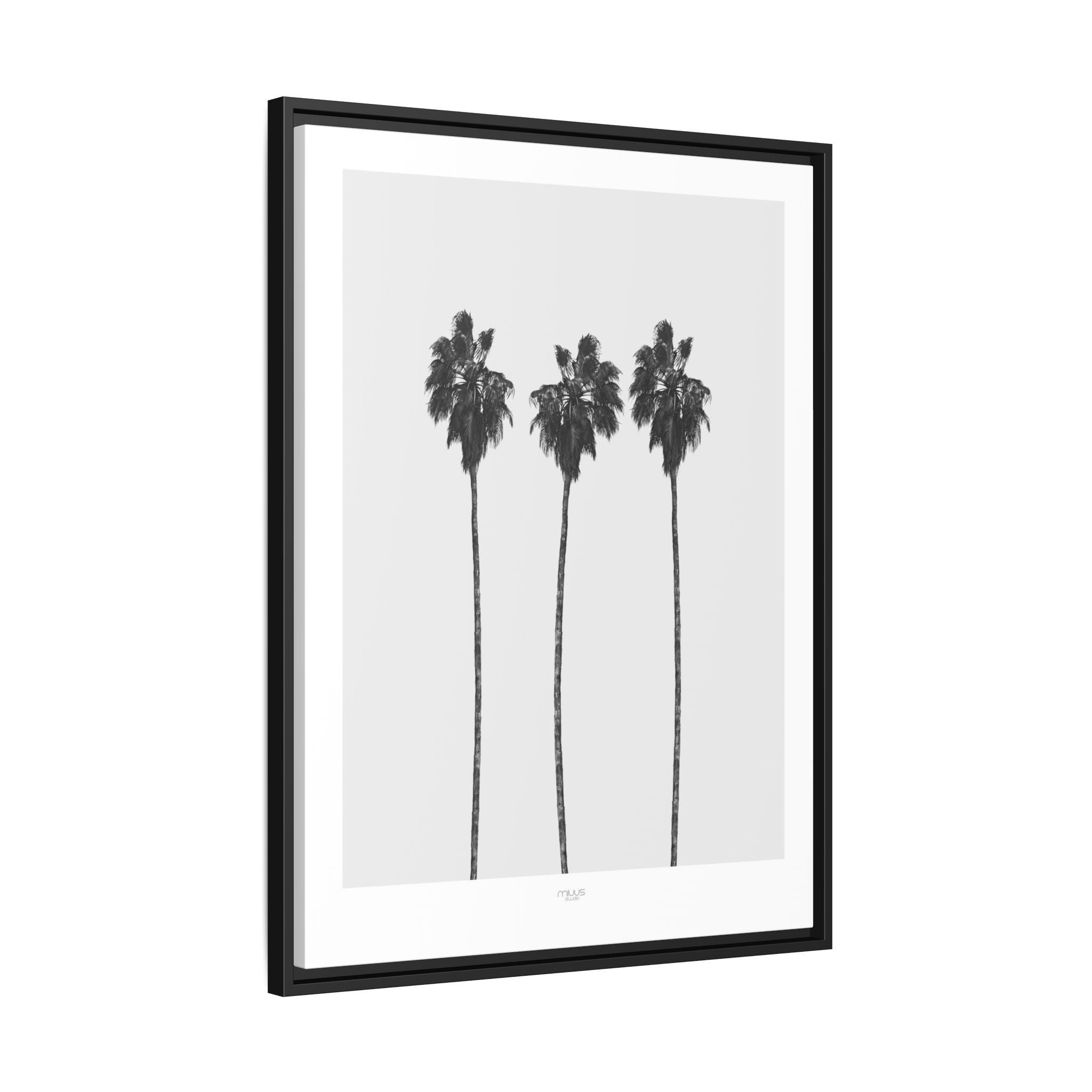 Silver Coast Palm Trio - Framed