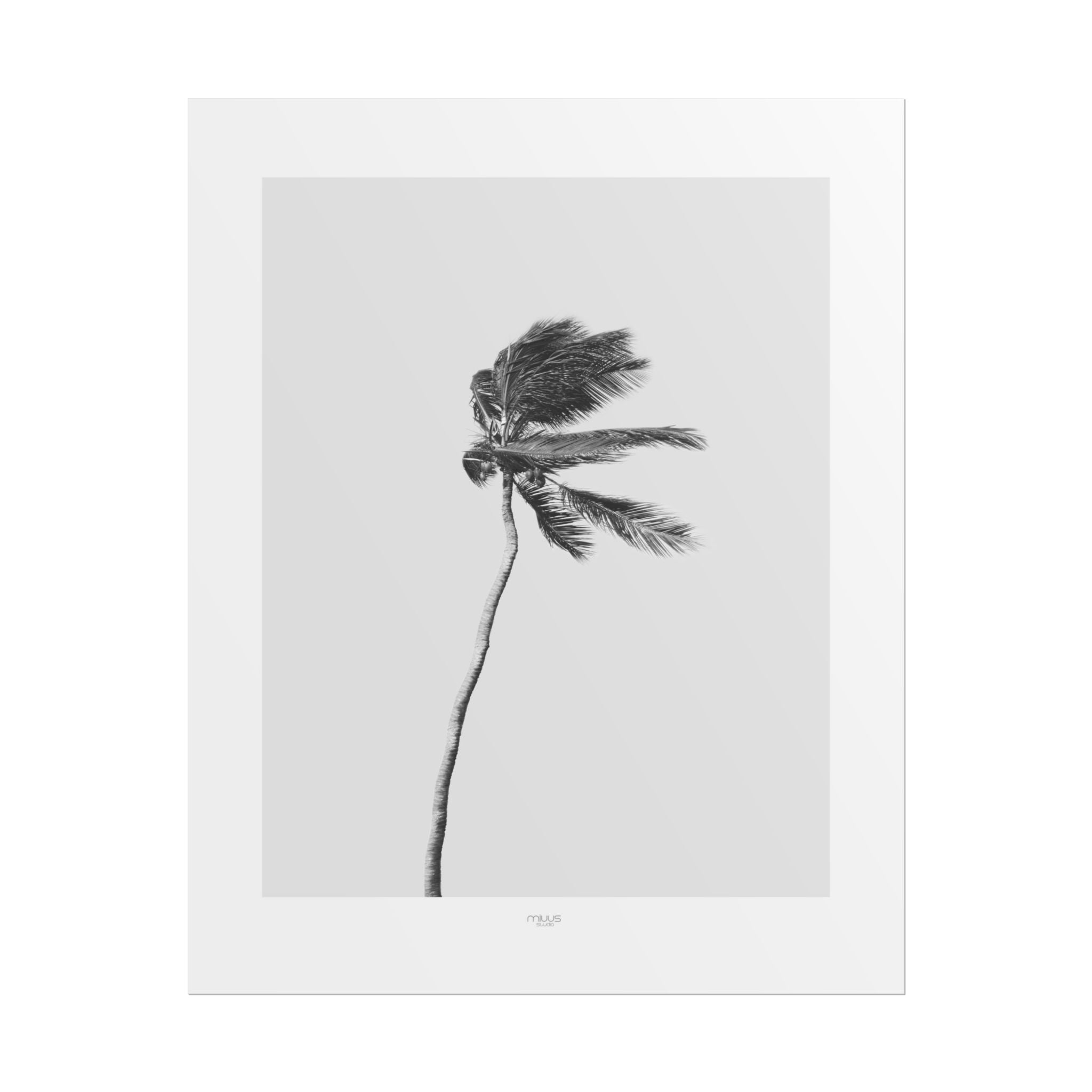 Coastal Silence Sway - Poster