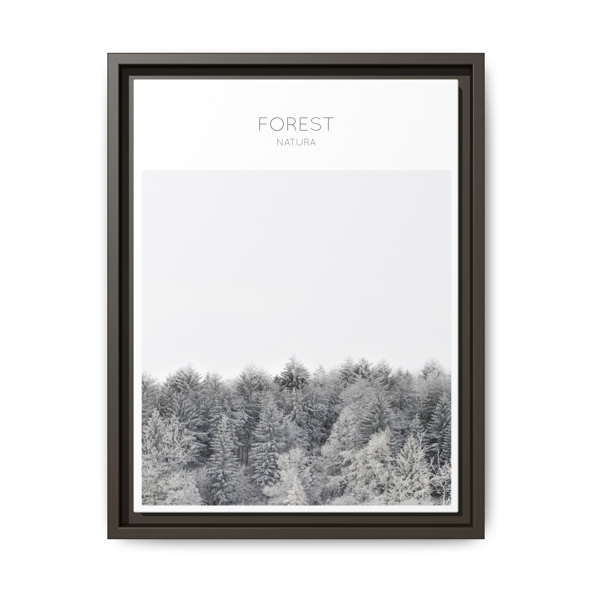 Silent Frost Canopy - Framed