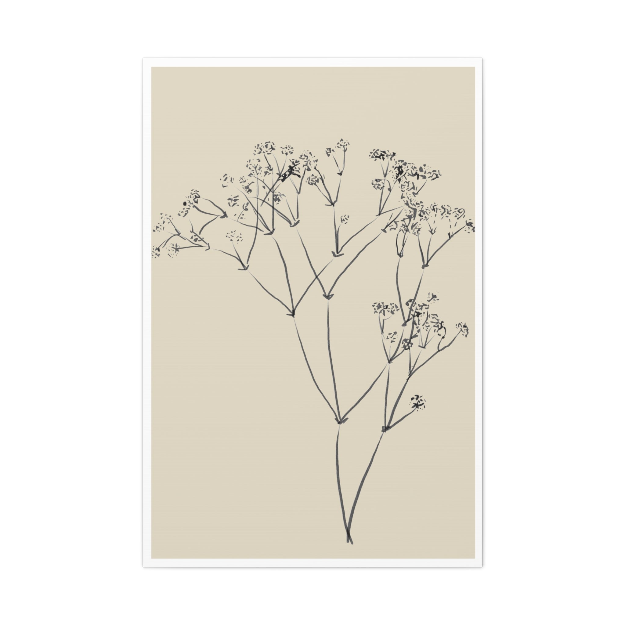 Soft Meadow Stillness - Canvas