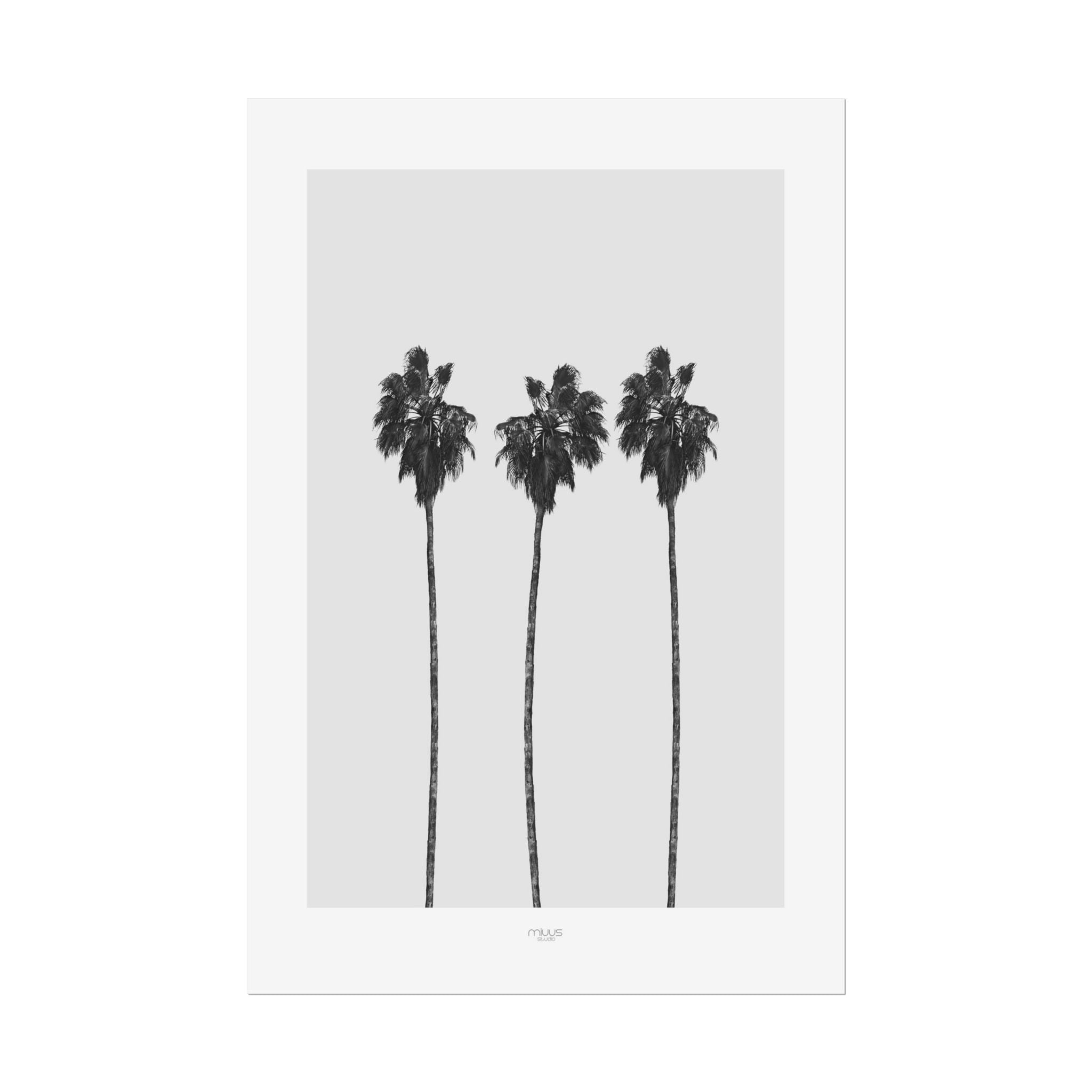 Silver Coast Palm Trio - Poster